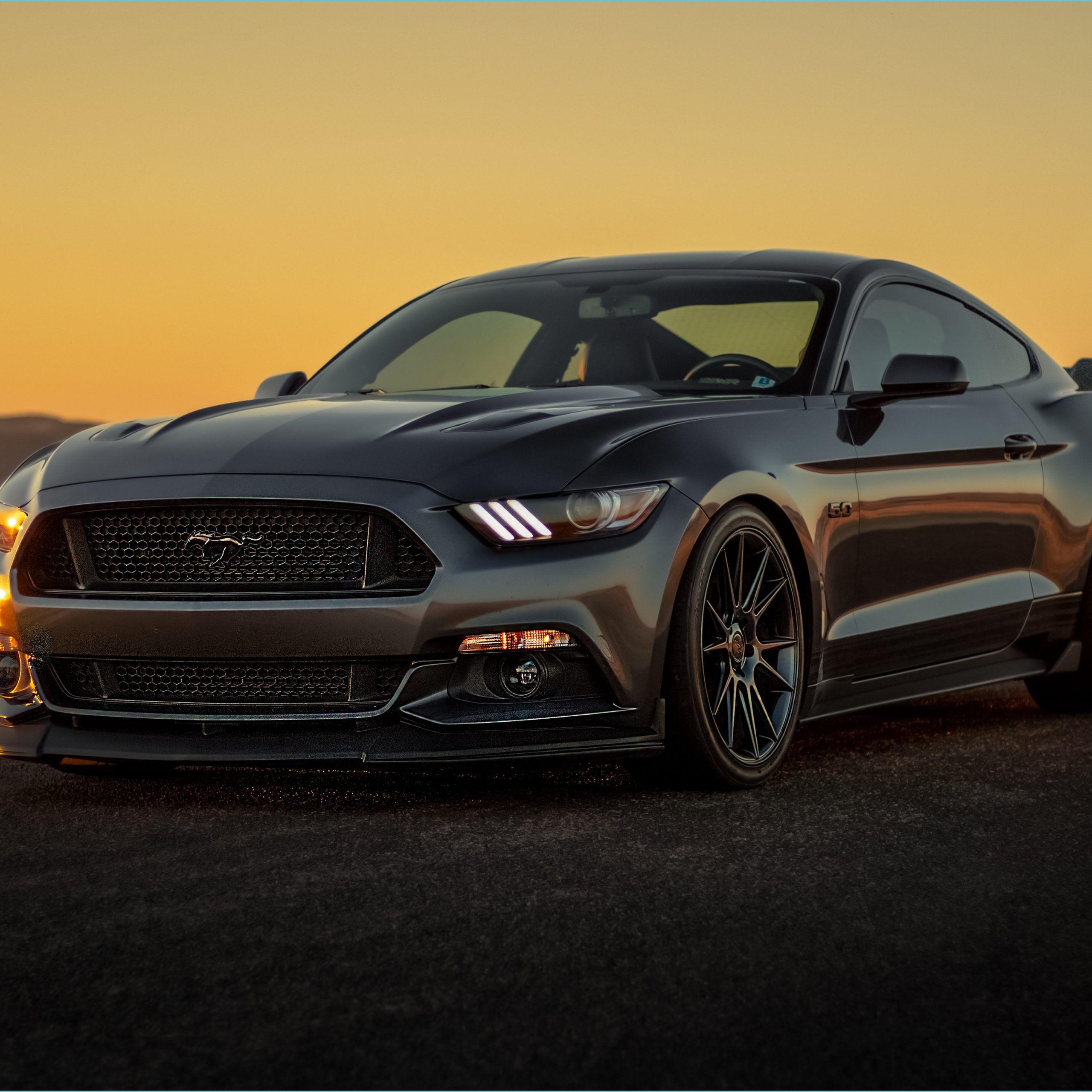 2560x2560 Black Ford Mustang 13 13k, HD Cars, 13k Wallpaper, Image mustang wallpaper
