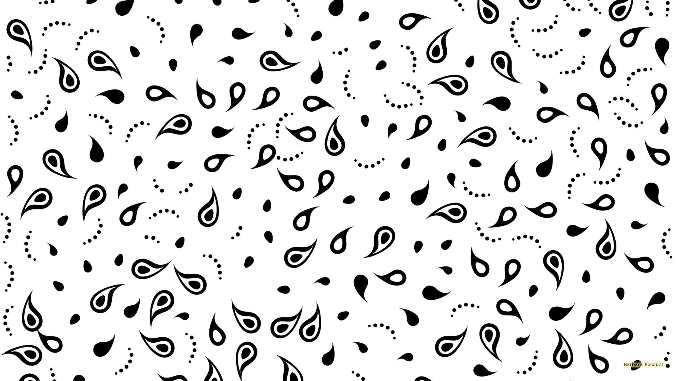2560x1440 Black White Wallpaper's HD Wallpaper