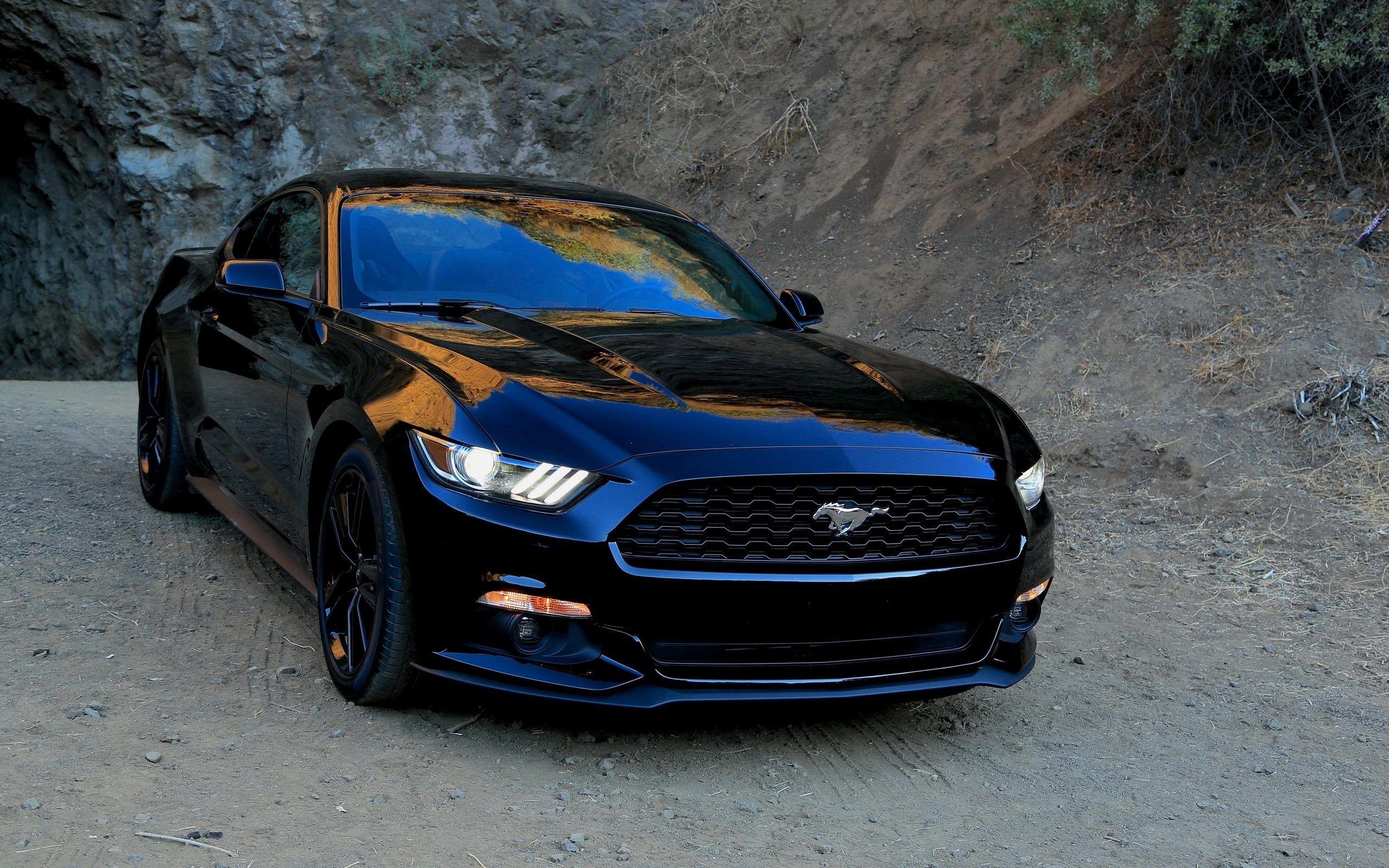 2560x1600 Download wallpaper 2560x1600 ford, mustang, black, front view, sports HD background