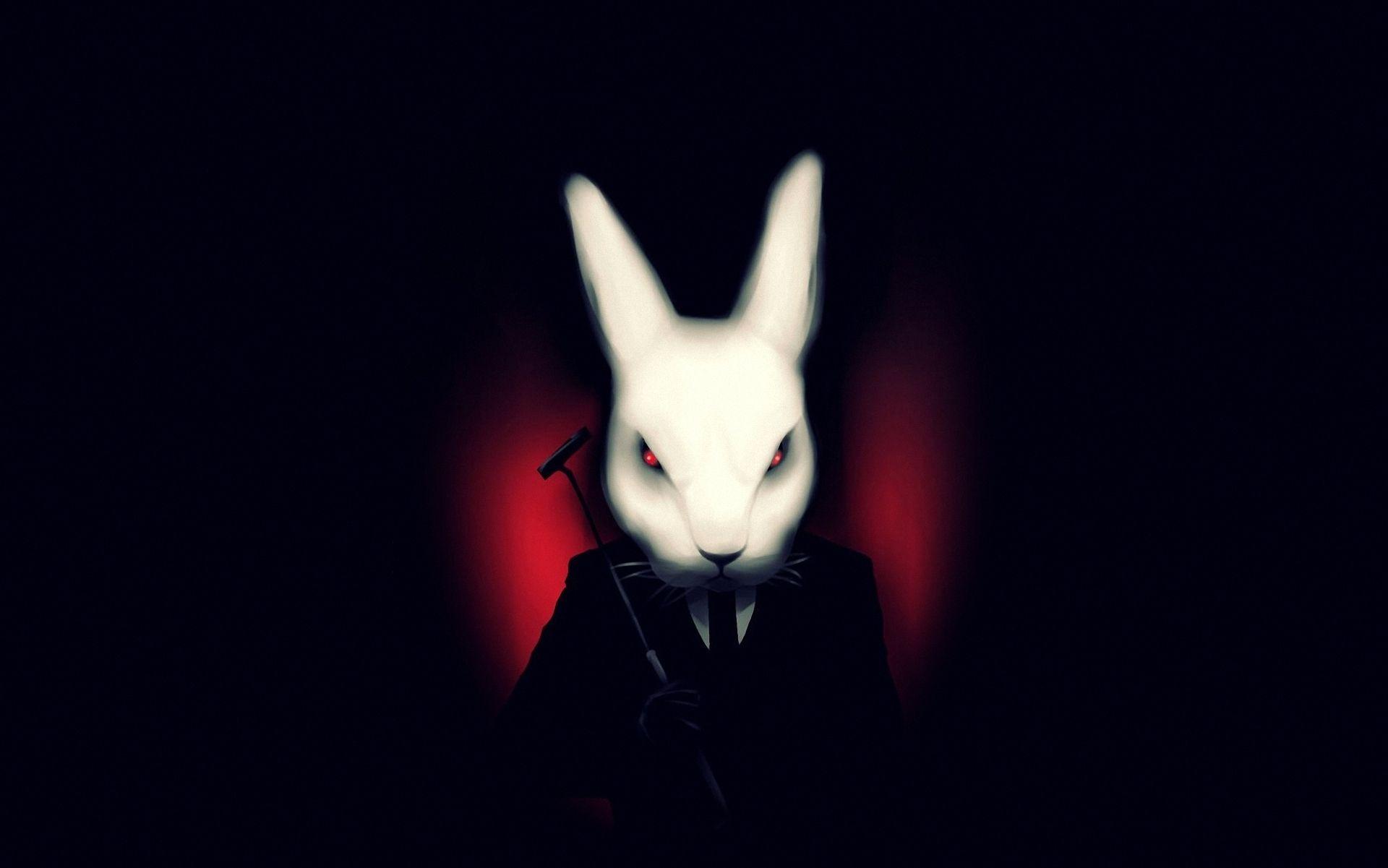 White Rabbit Wallpapers - Top Free White Rabbit Backgrounds ...