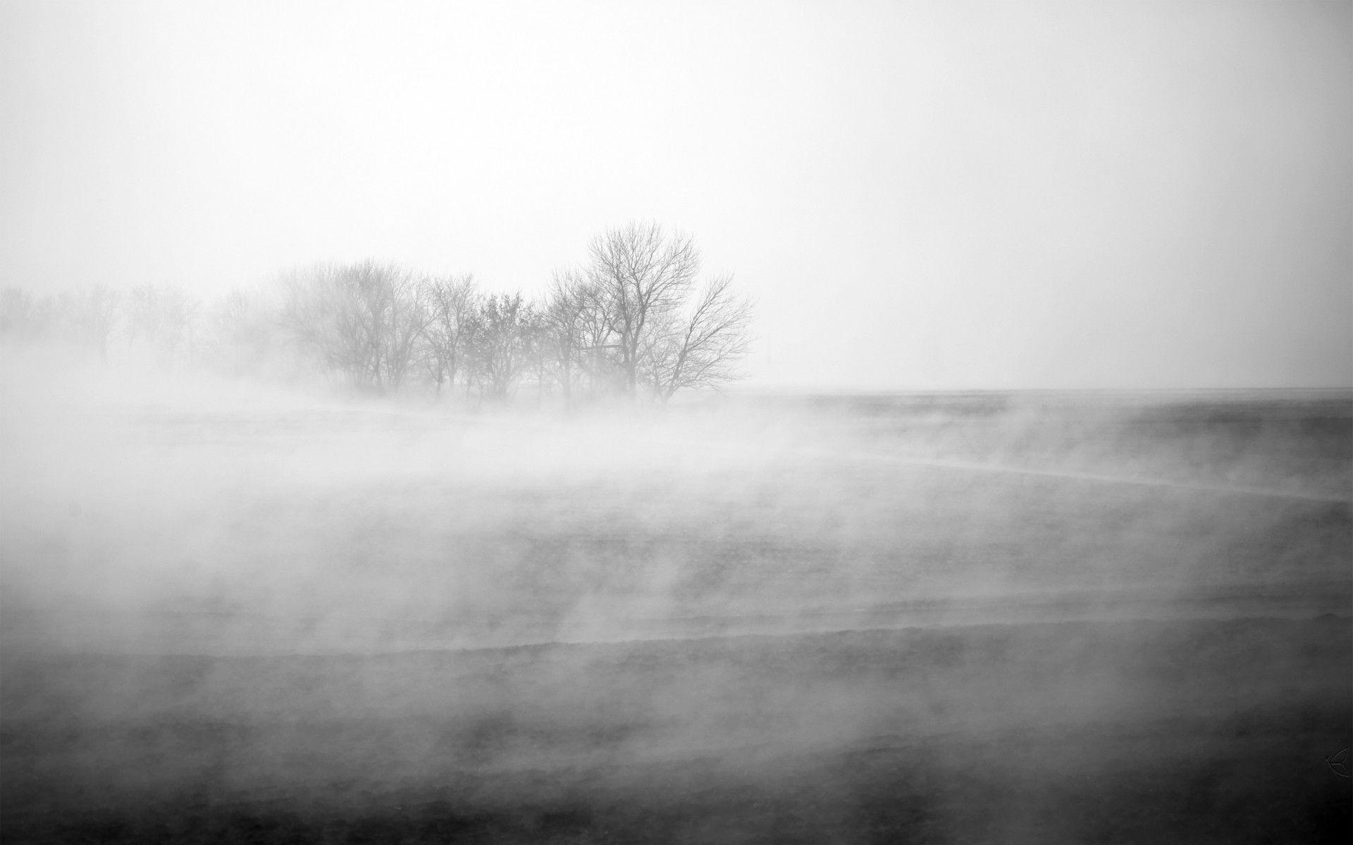 1920x1200 fog wallpaper 36612 37447 HD wallpaper jpg 457 - Fog HD Wallpaper