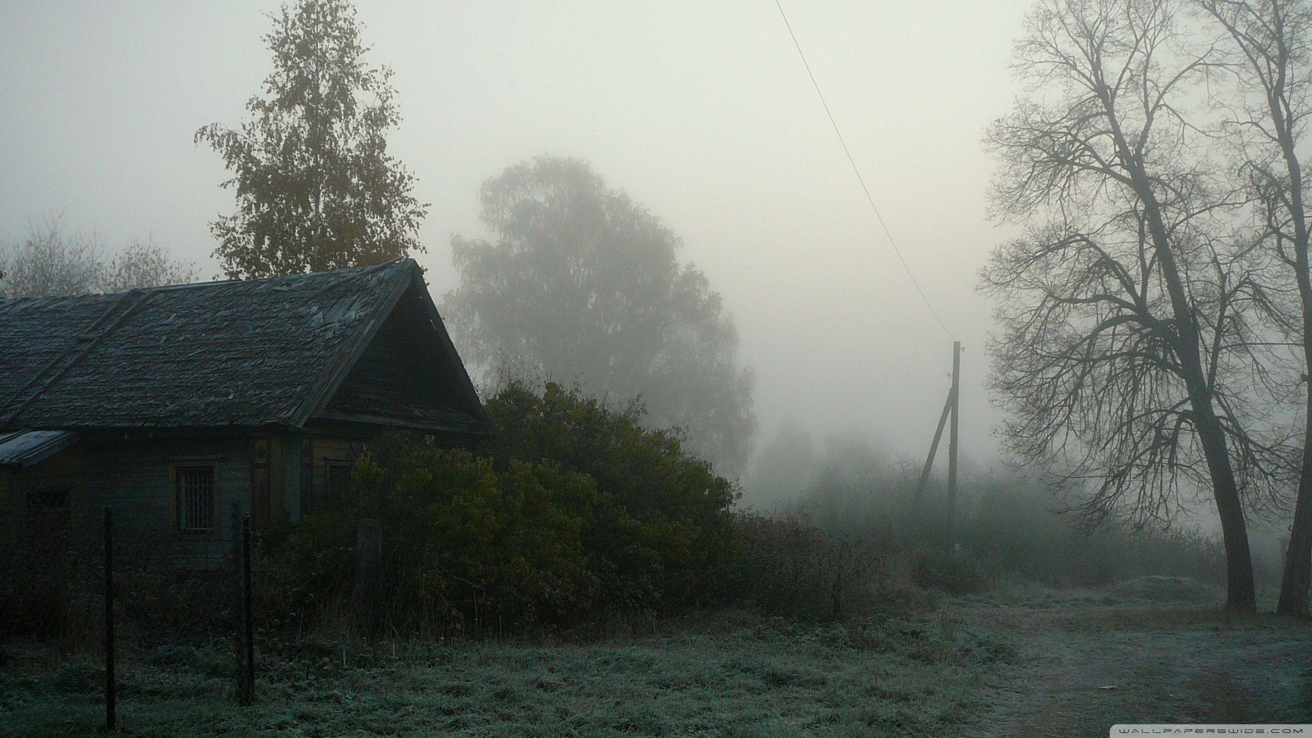 2560x1440 Foggy Village Ultra HD Desktop Background Wallpaper for 4K UHD TV : Multi Display, Dual Monitor : Tablet