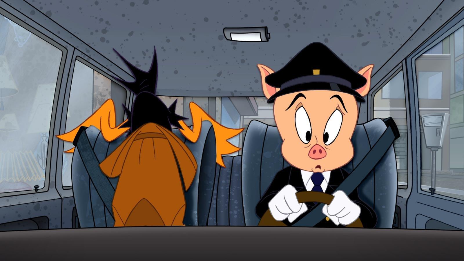 1600x900 Porky Pig wallpaper HD for desktop background