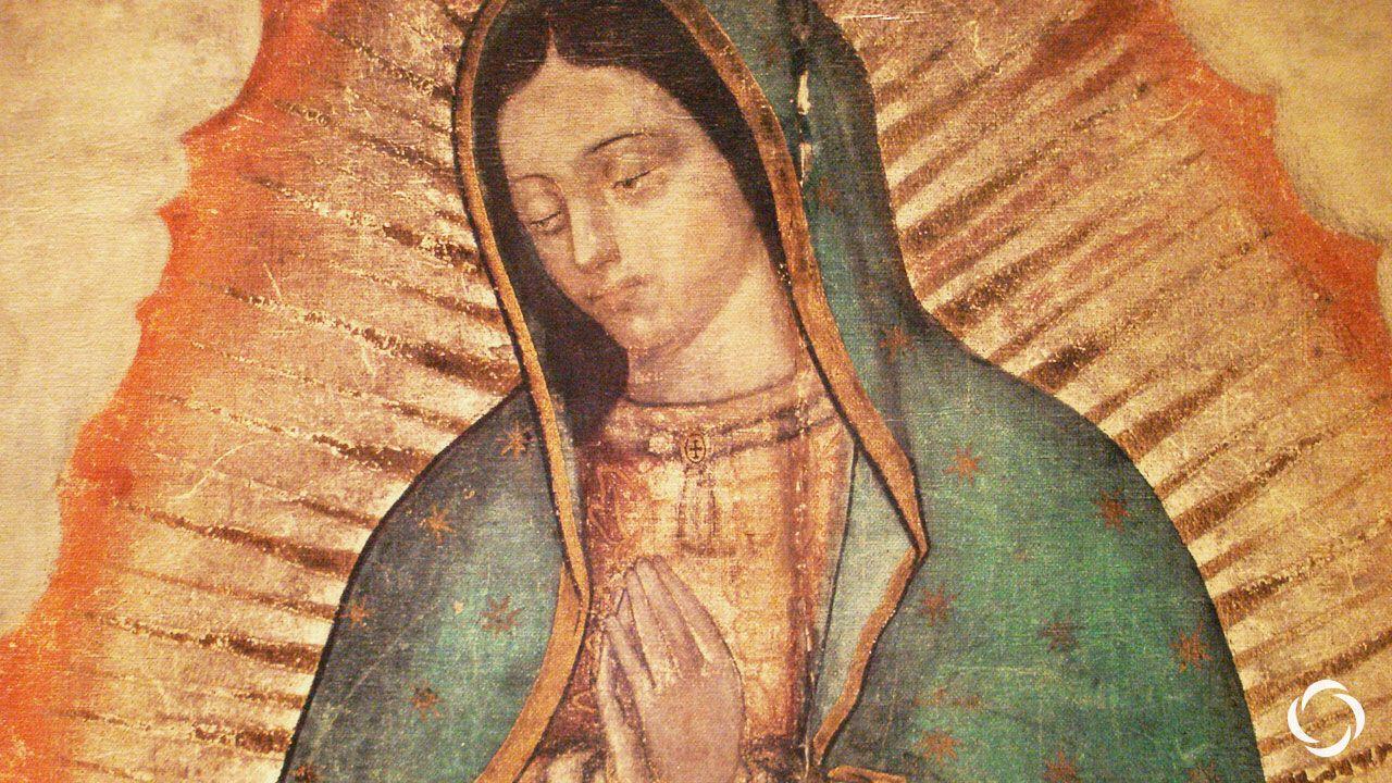 1280x720 A Pilgrimage: Our Lady of Guadalupe