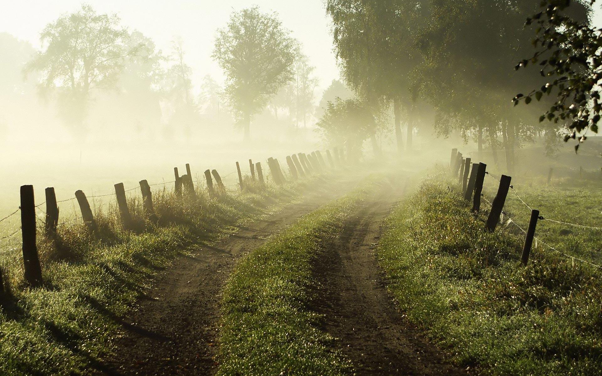 1920x1200 Free download Fog HD Wallpaper HD Image New [1920x1200] for your Desktop, Mobile & Tablet. Explore Fog Wallpaper HD. Fog Forest Wallpaper, Foggy Lake Wallpaper, Foggy Forest Wallpaper