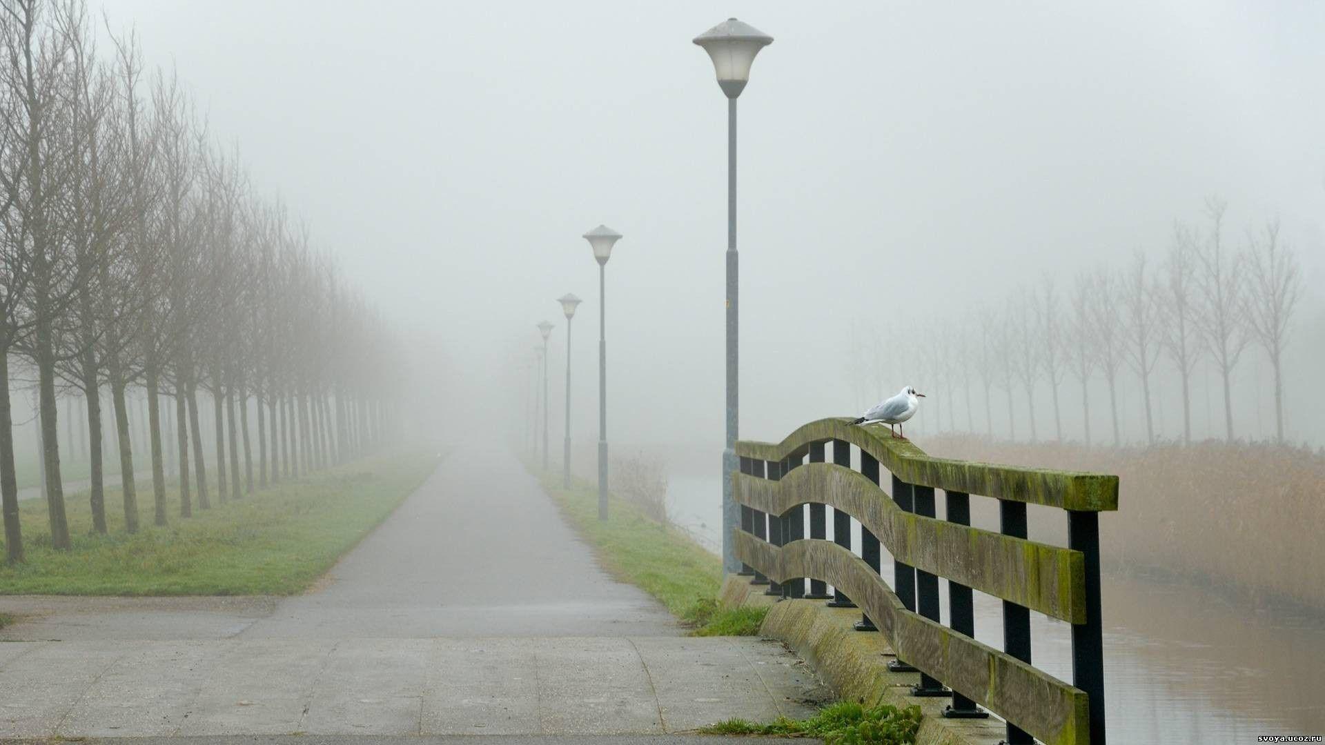 1920x1080 Fog Wallpaper HD Background Free Download