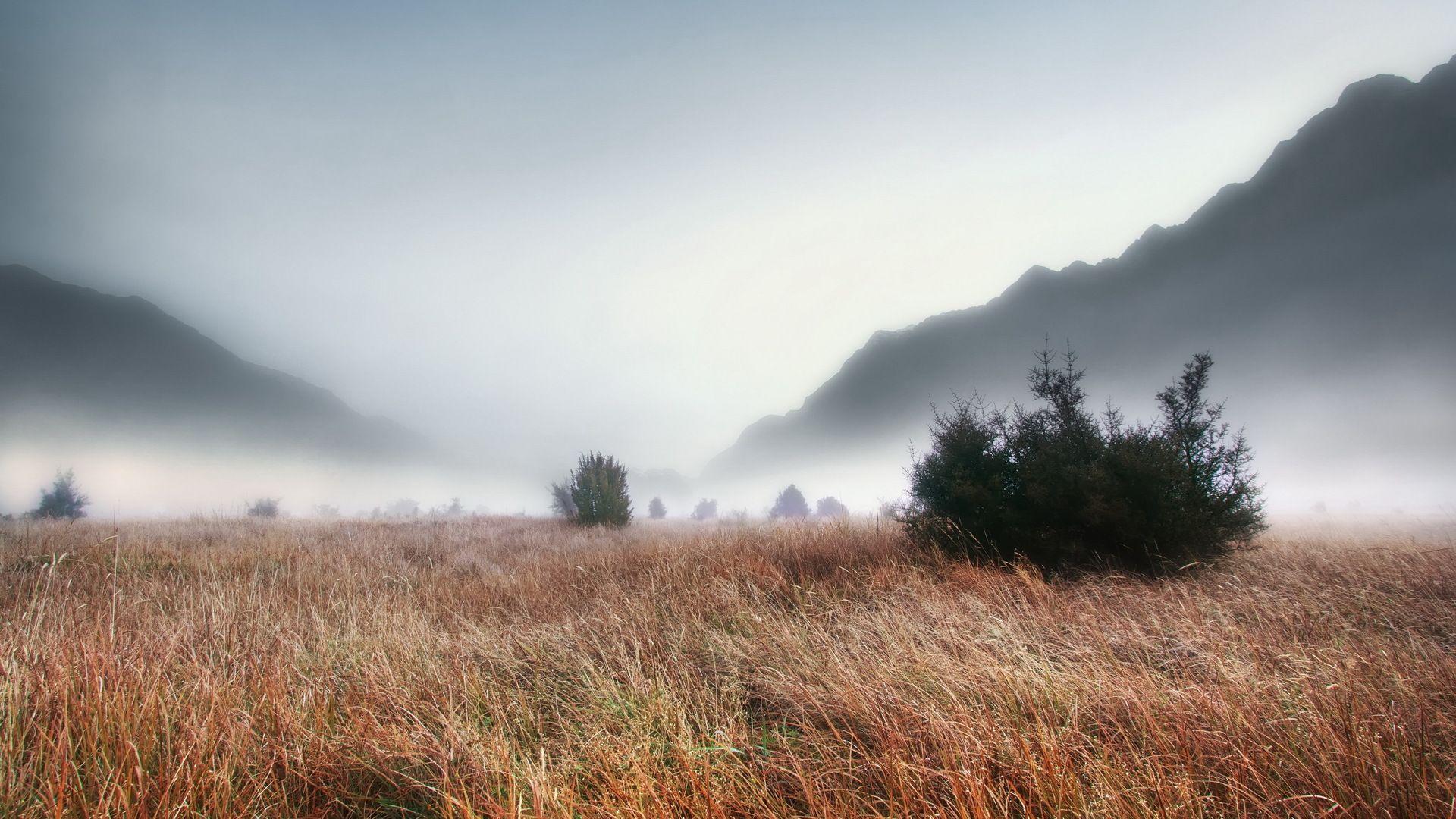 1920x1080 Foggy Wallpaper