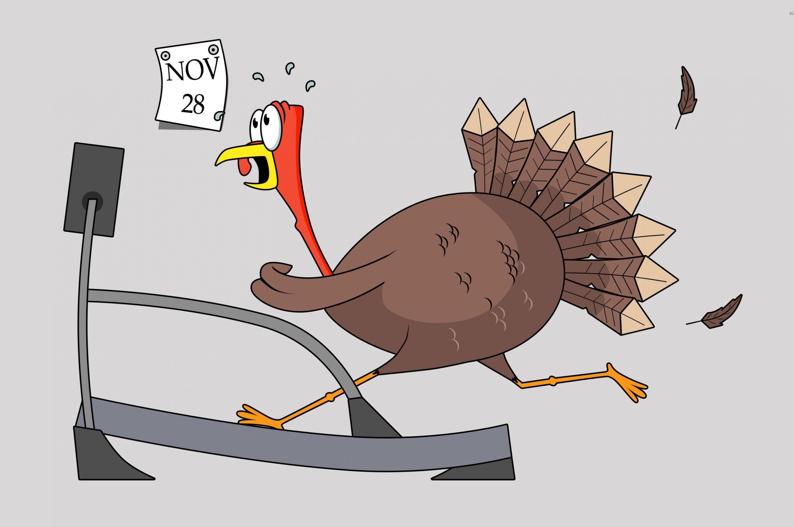 2560x1700 Free download Thanksgiving turkey on a treadmill wallpaper Funny wallpaper [2880x1800] for your Desktop, Mobile & Tablet. Explore Funny Thanksgiving Wallpaper. Free Animated Thanksgiving Desktop Wallpaper, Free Thanksgiving Themed