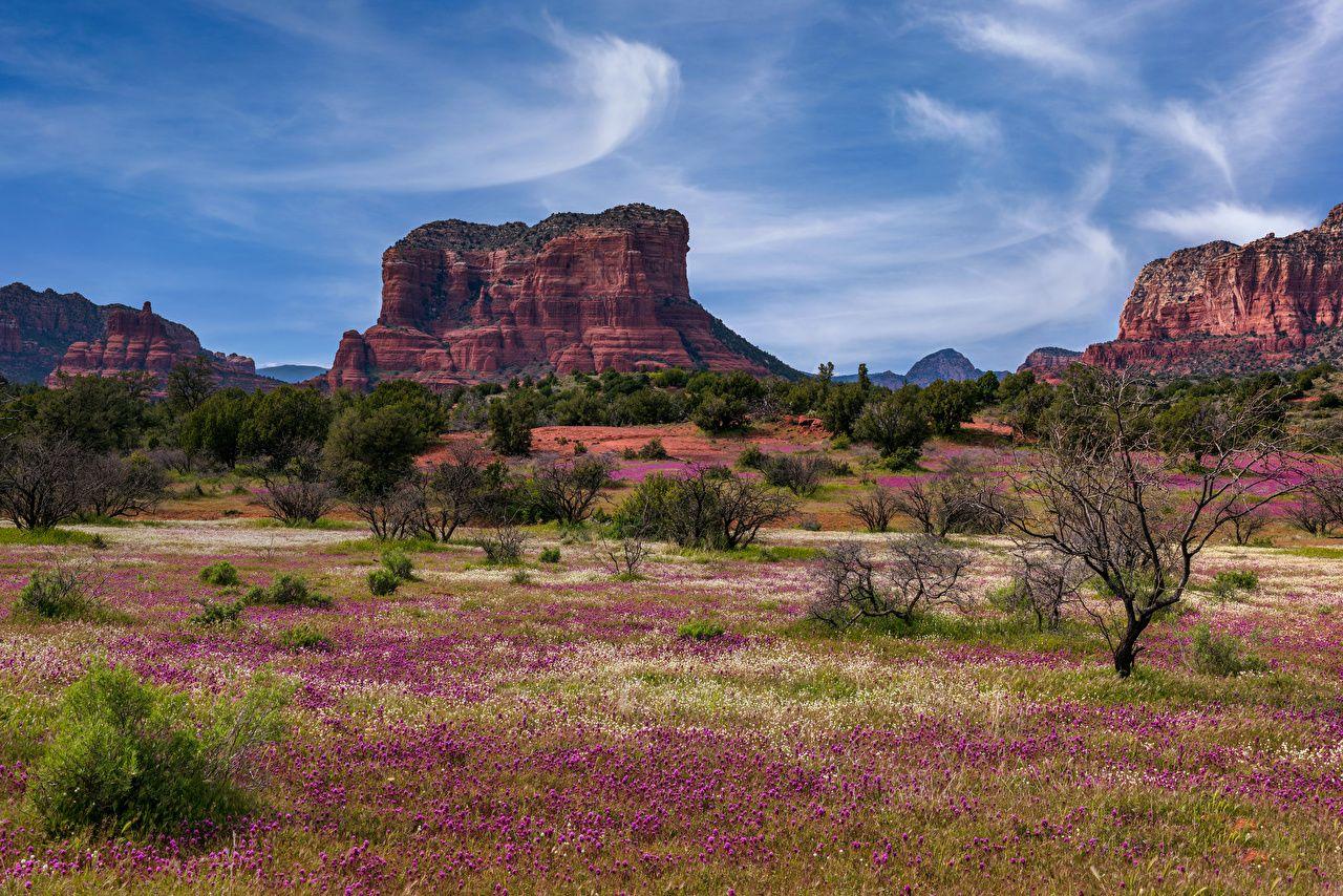 1280x854 Desktop Wallpaper USA Sedona, Arizona Rock Nature Spring Trees