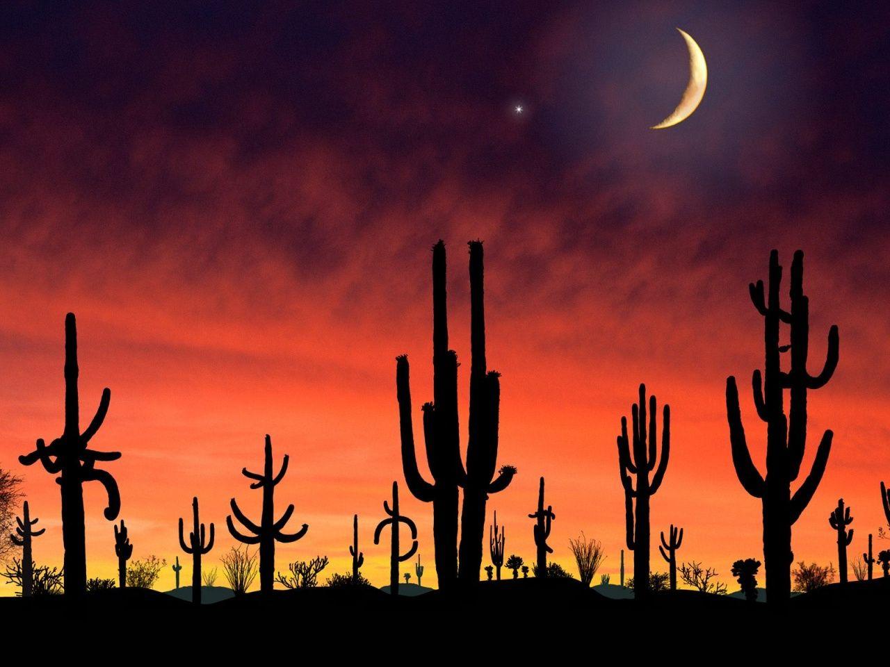 1280x960 Arizona desktop PC and Mac wallpaper