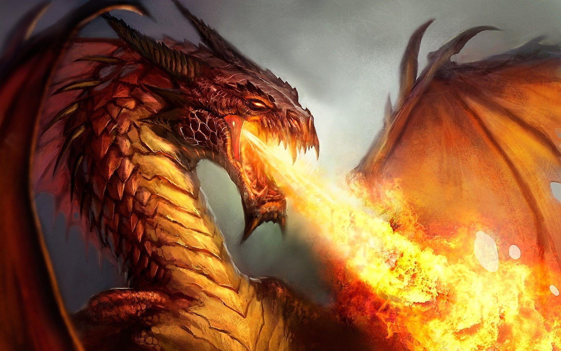 1920x1200 Fire spitting dragon