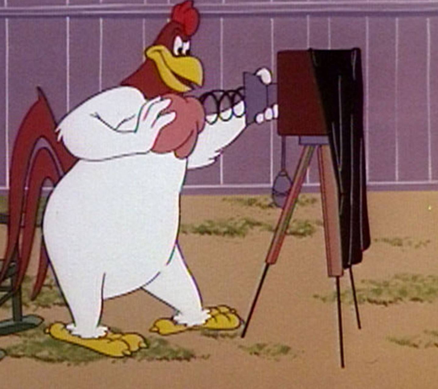 Foghorn Leghorn Wallpapers - Top Free Foghorn Leghorn Backgrounds