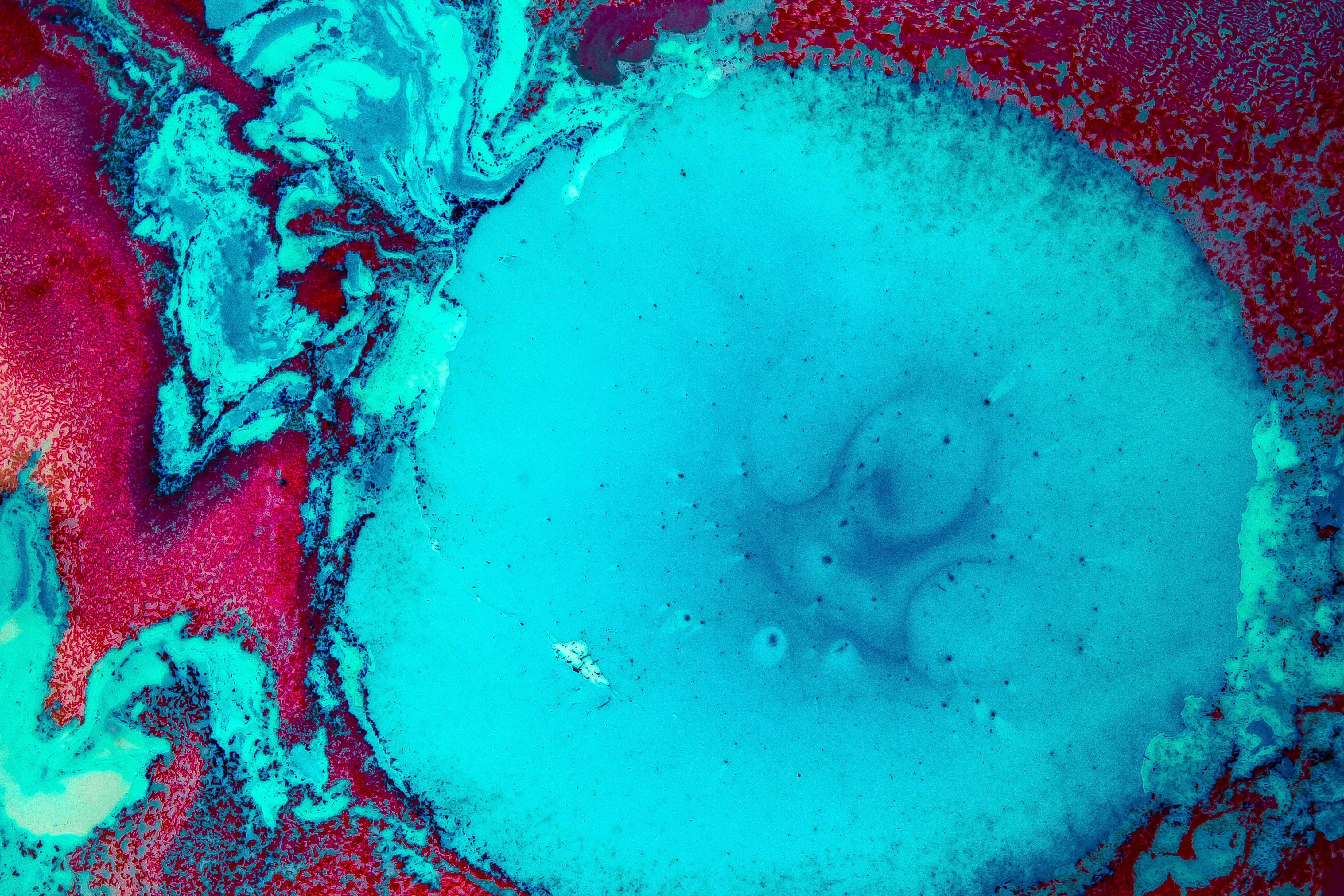 4378x2919 4378x2919 #swirl, #red, #teal, #pink, #universe, #texture, #Free , #surreal, #science, #background, #abstract, #water, #wallpaper, #pattern, #cell, #blue, #sky, #tint, #paint, #turquoise, #aqua. Mocah HD Wallpaper