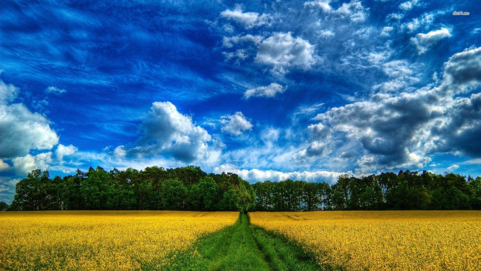 1920x1080 Wallpaper Beautiful farm field, nature, trees, clouds 1920x1080 Full HD 2K Picture, Image