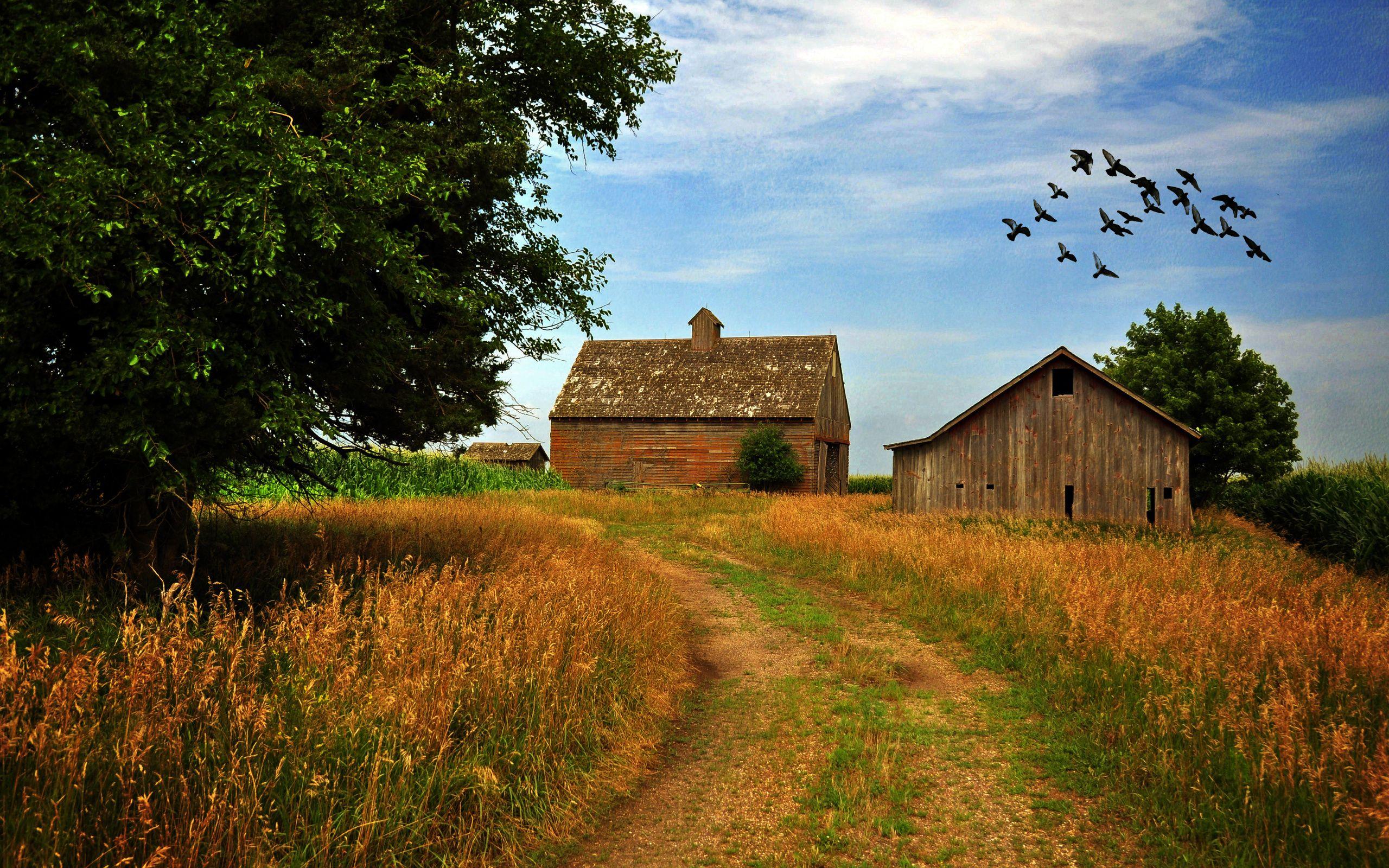 2560x1600 Road houses trees sky birds landscape mood farm rustic wallpaperx1600