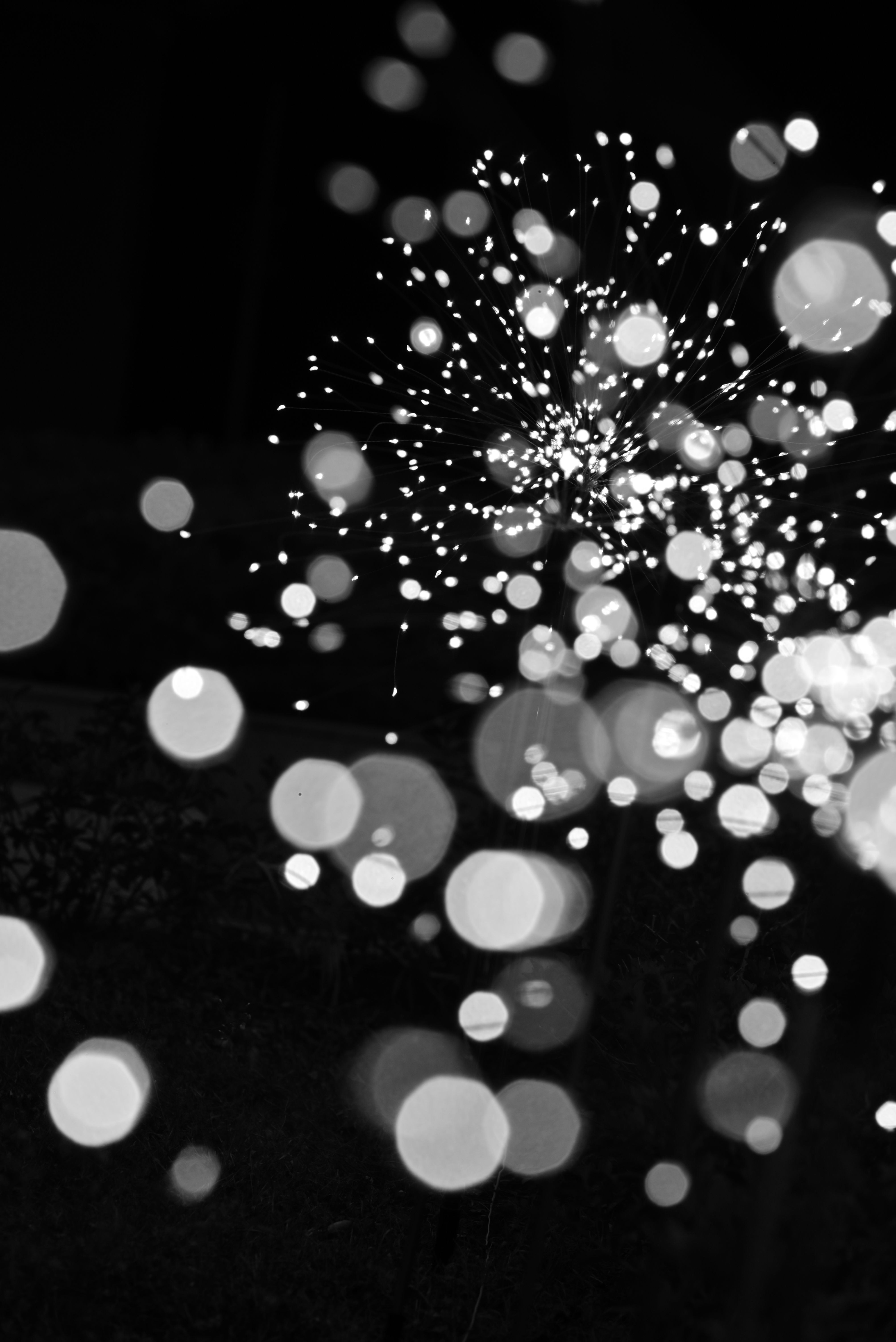 4016x6016 Abstract Black and White Light Bokeh Effect · Free
