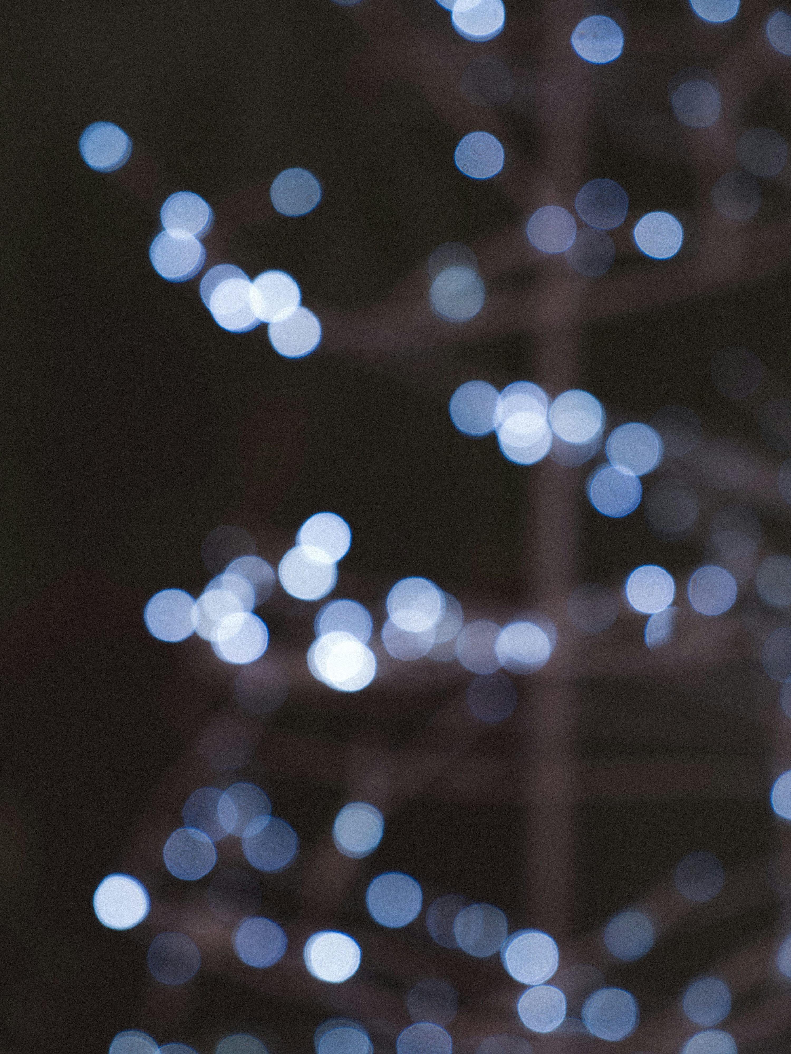 3000x3995 White light bokeh on black background photo