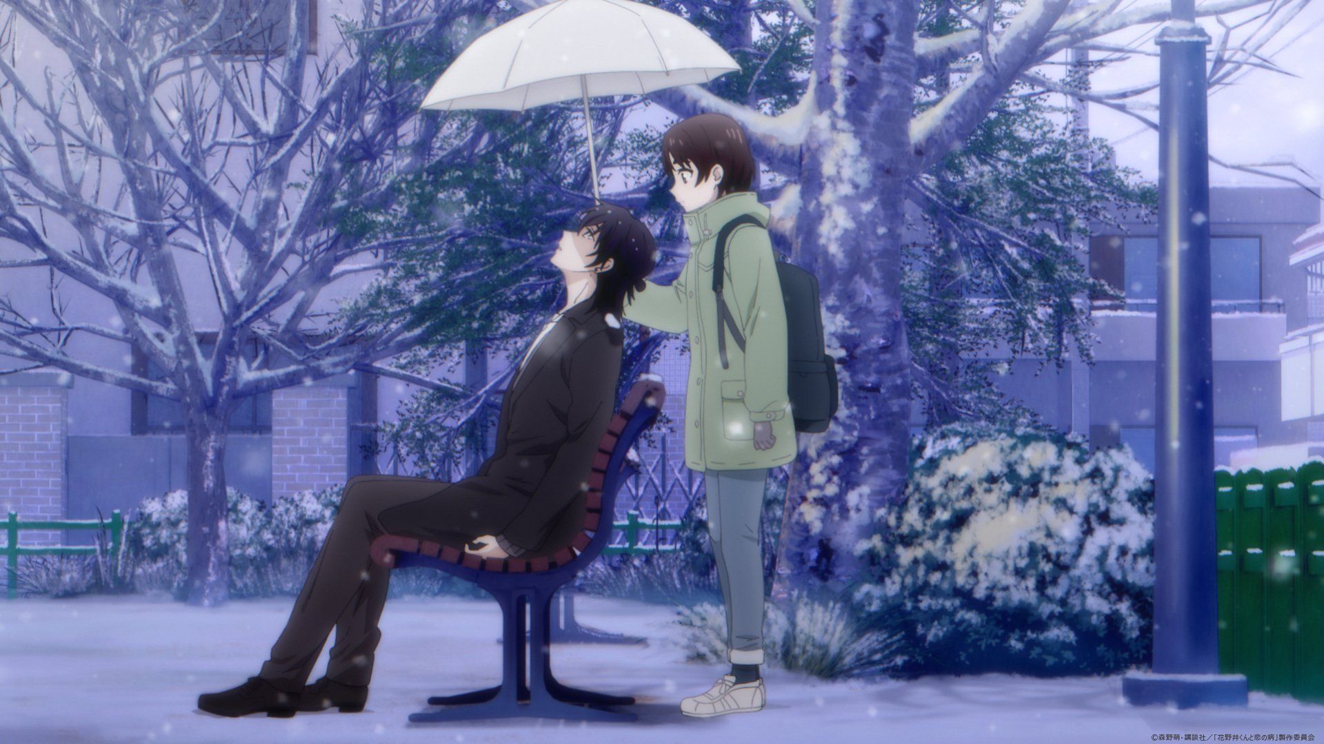 1920x1080 A Condition Called Love HD Wallpaper Saki Hananoi And Hotaru Hinasex1080