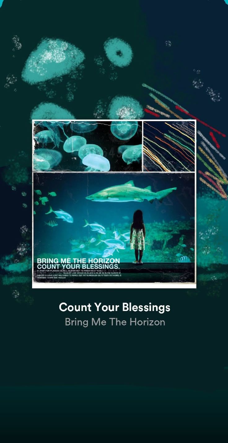 736x1427 Count your Blessings spotifyart