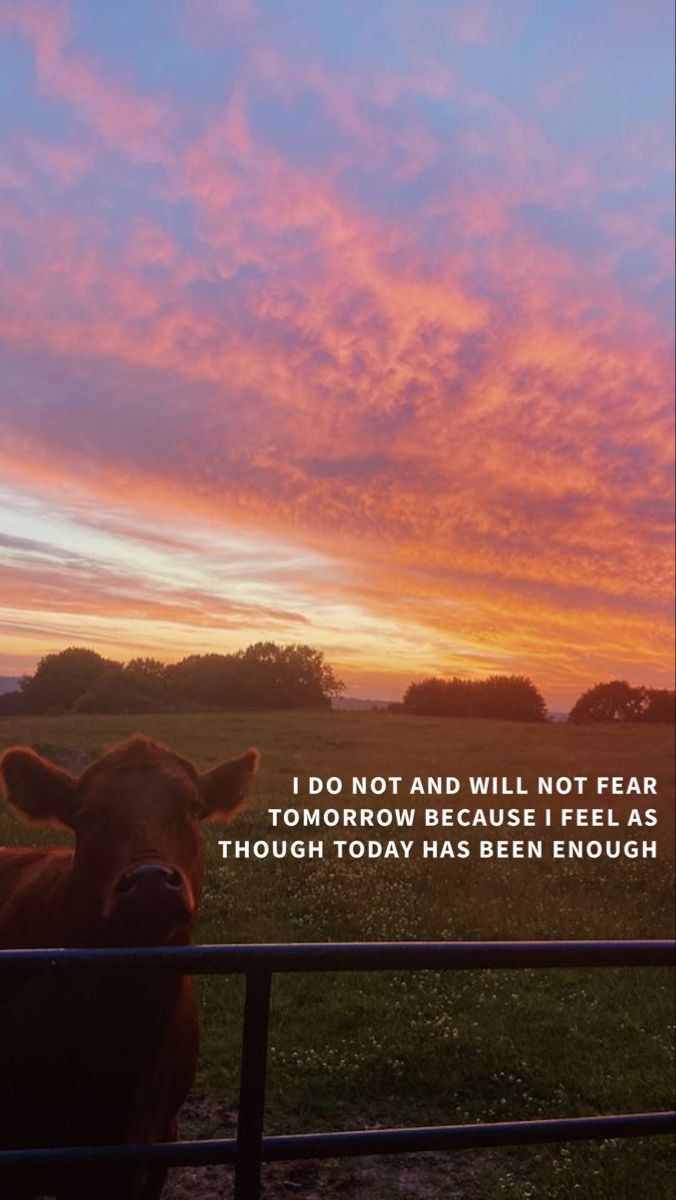 676x1200 zach bryan wallpaper