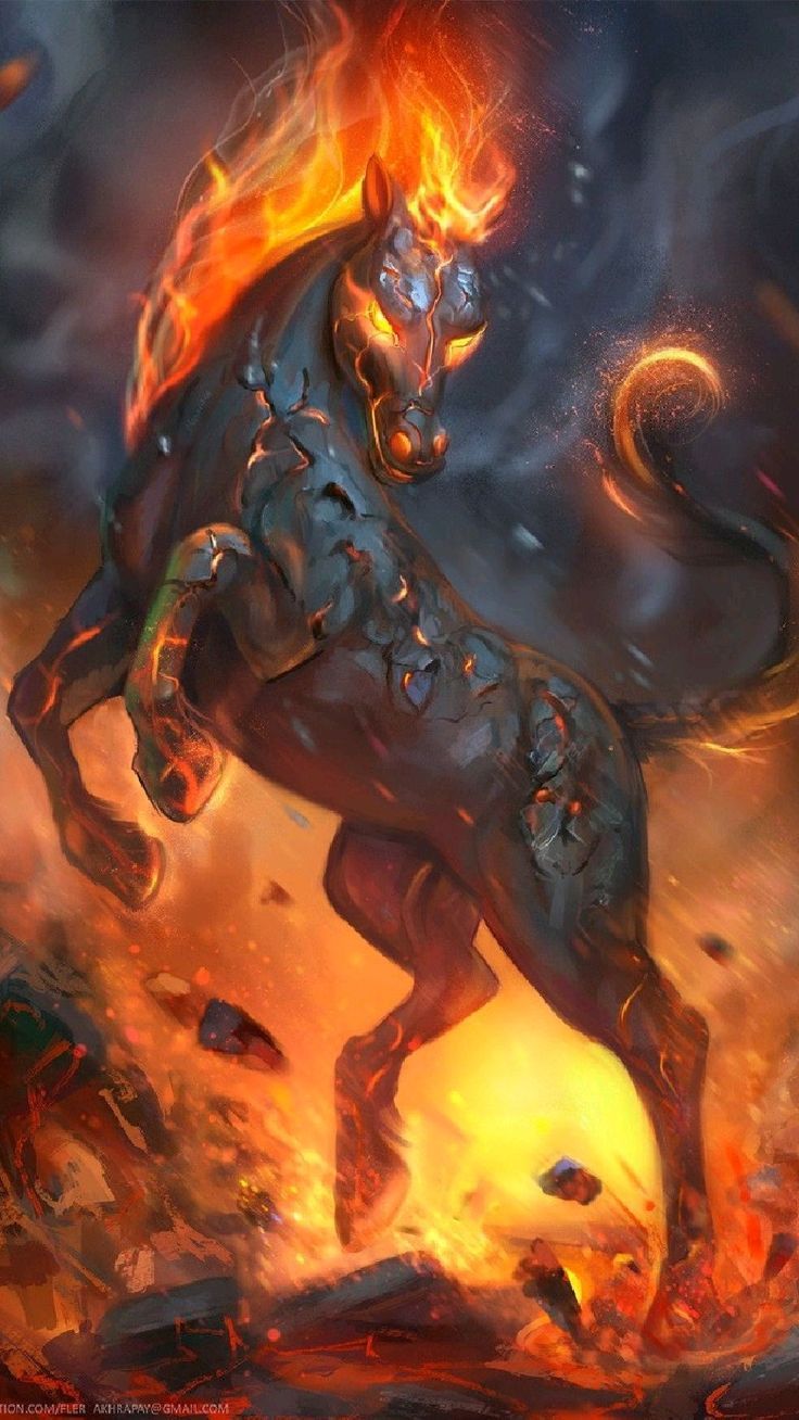 736x1308 horse