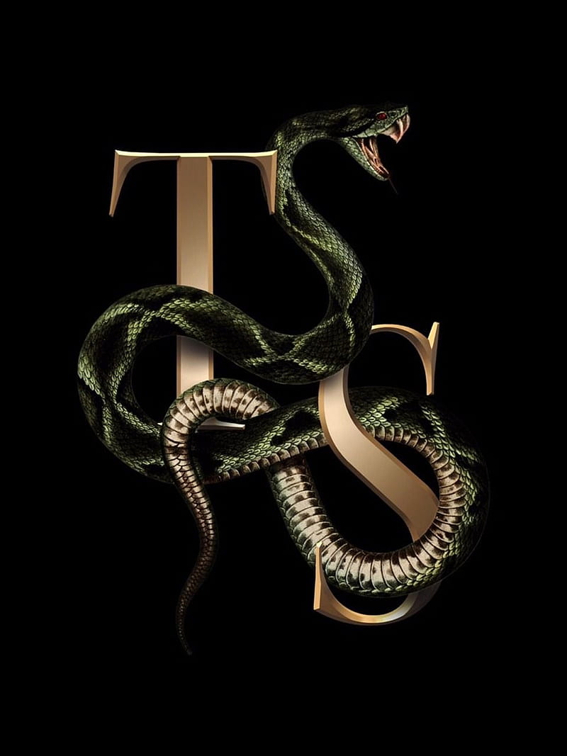 800x1067 Taylor Swift Logo, look what you made me do, reputation, reputation album, taylor swift, HD phone wallpaper