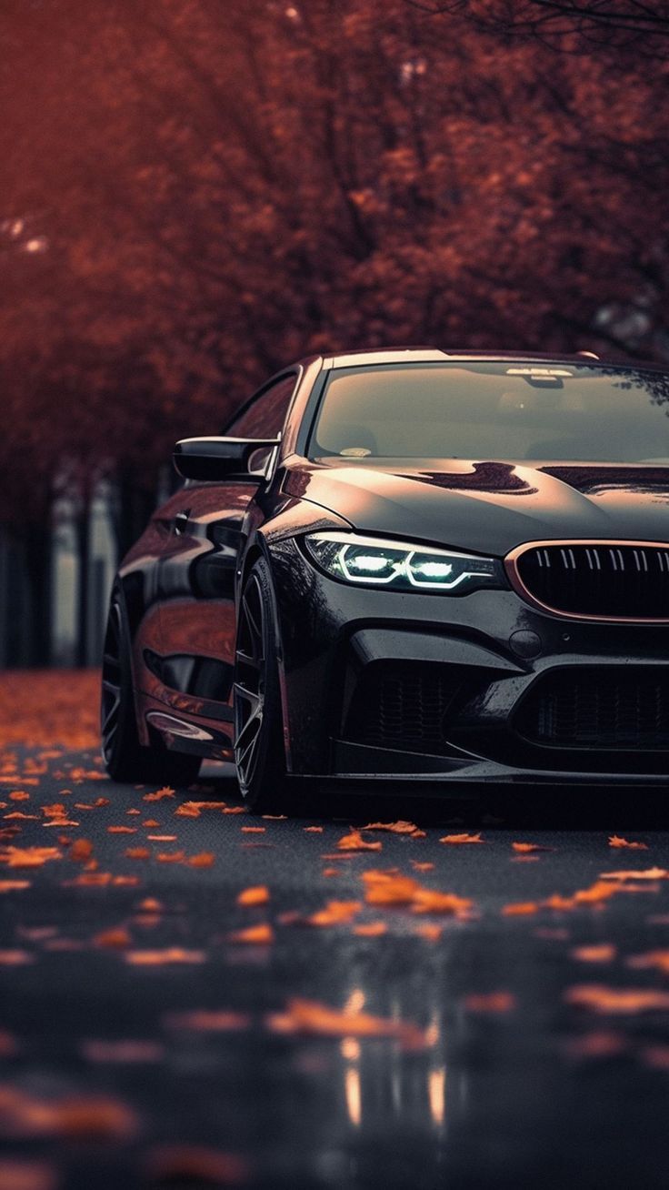 736x1308 Free background desktop, HD wallpaper bmw m bmw, car, black, autumn, sports car background HD for pc