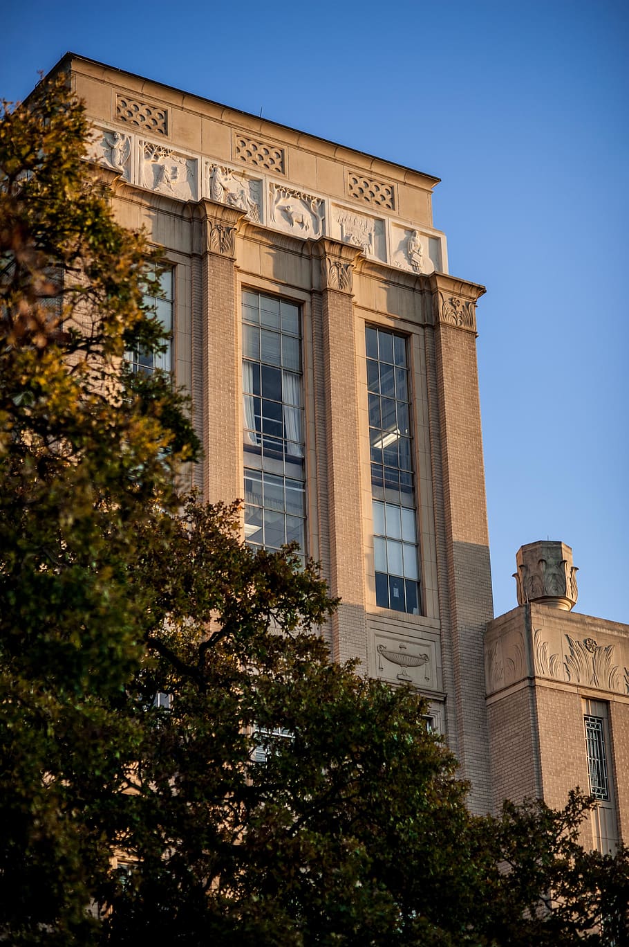 910x1368 Texas state university 1080P, 2K, 4K, 5K HD wallpaper free download