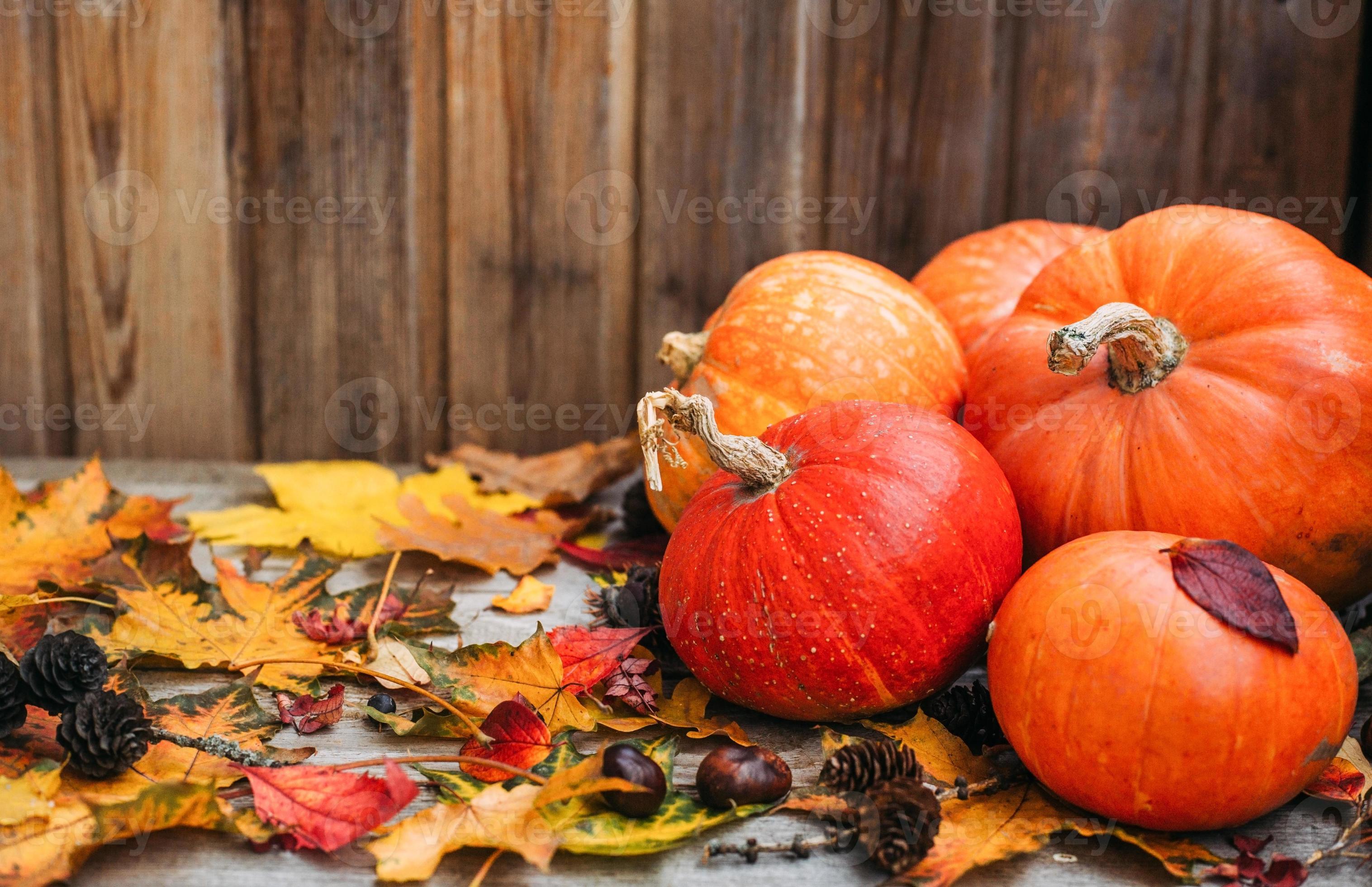 3033x1960 Pumpkins with fall leaves over wooden background. Orange halloween pumpkins in autumm composition