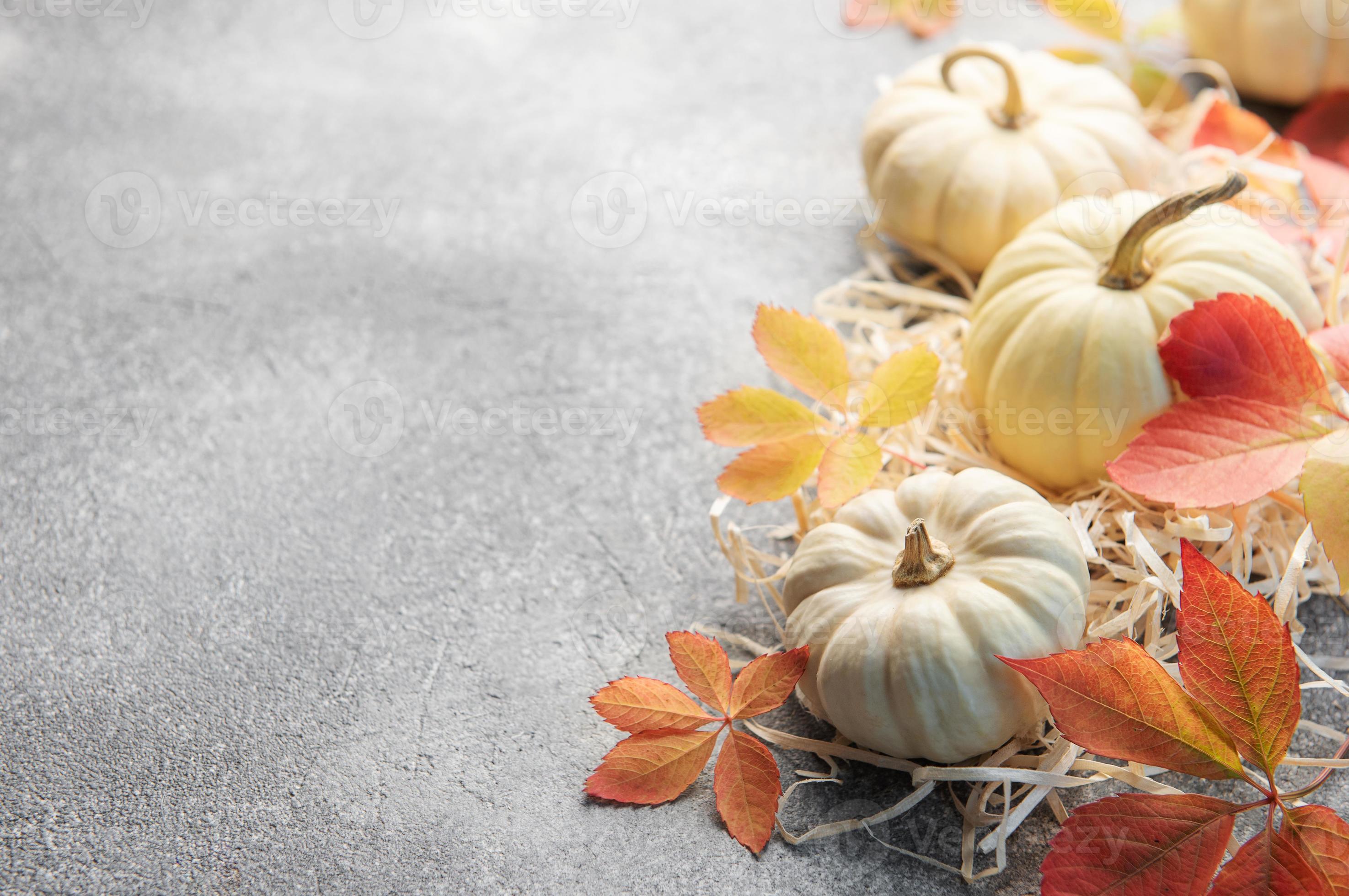 2950x1960 Autumn leaves and pumpkins over grey concrete background
