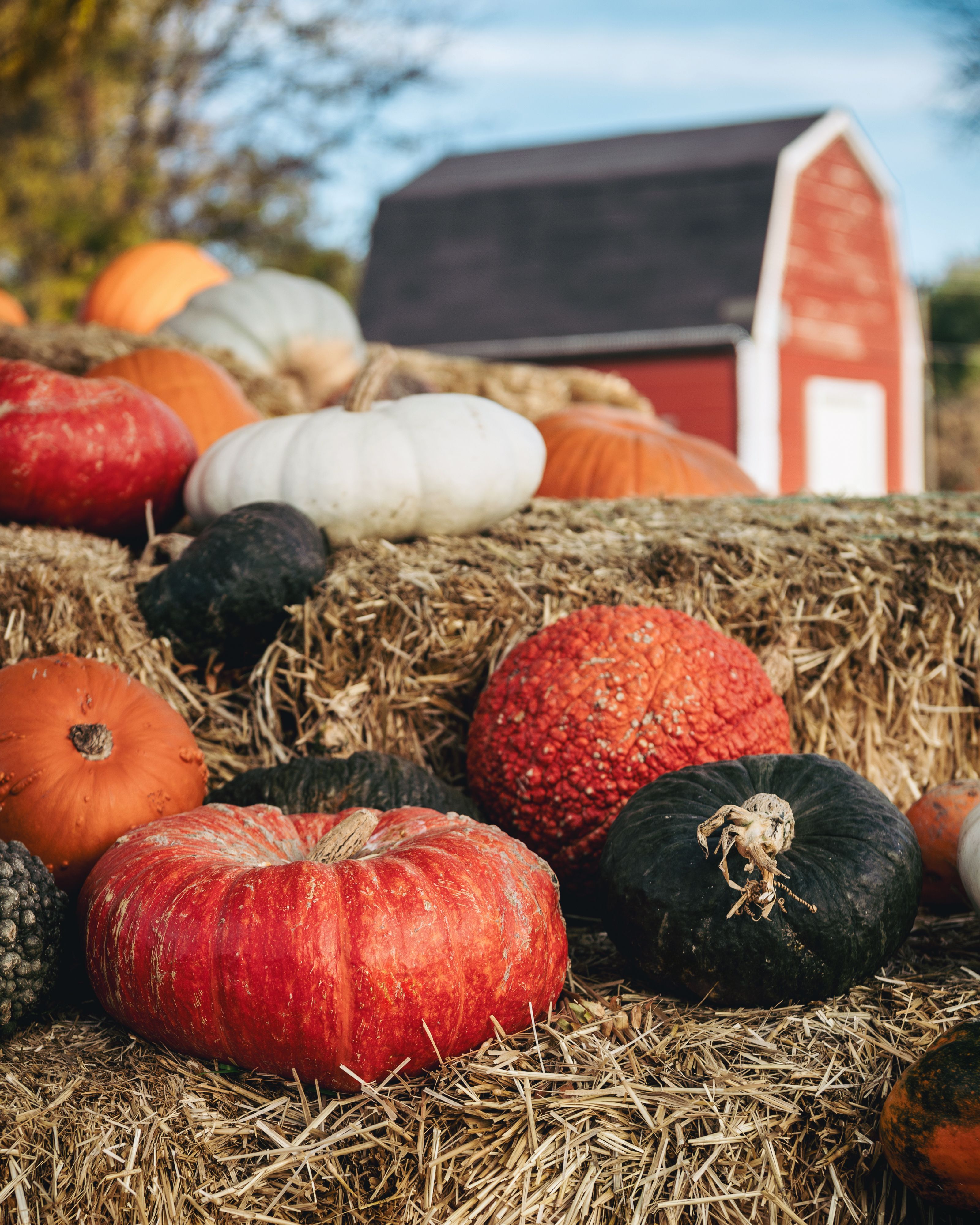 3200x4000 Autumn Leaves and Pumpkins in Basket · Free