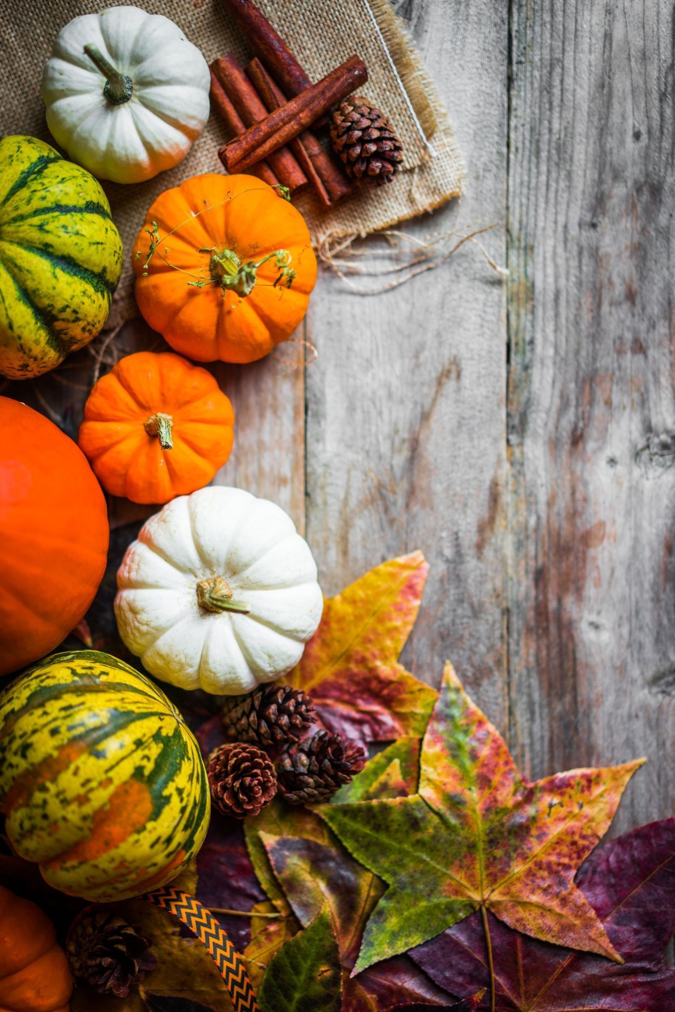 1365x2048 Autumn Leaves With Pumpkins Wallpaper