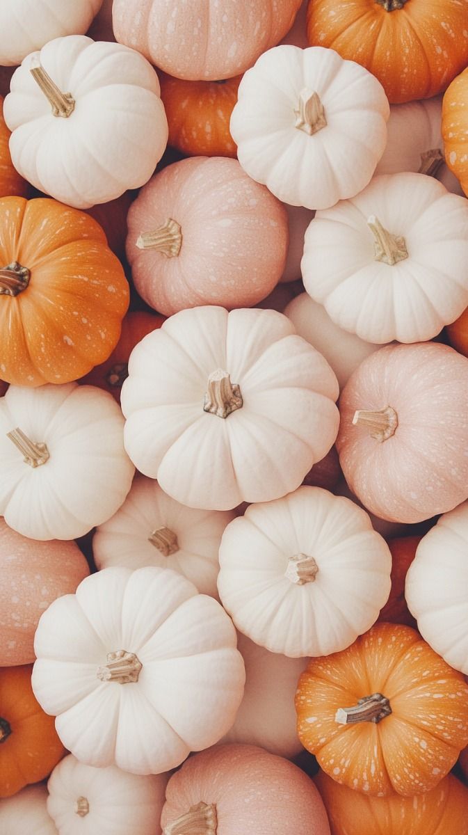 673x1200 Autumn Vibes Pumpkin Wallpaper