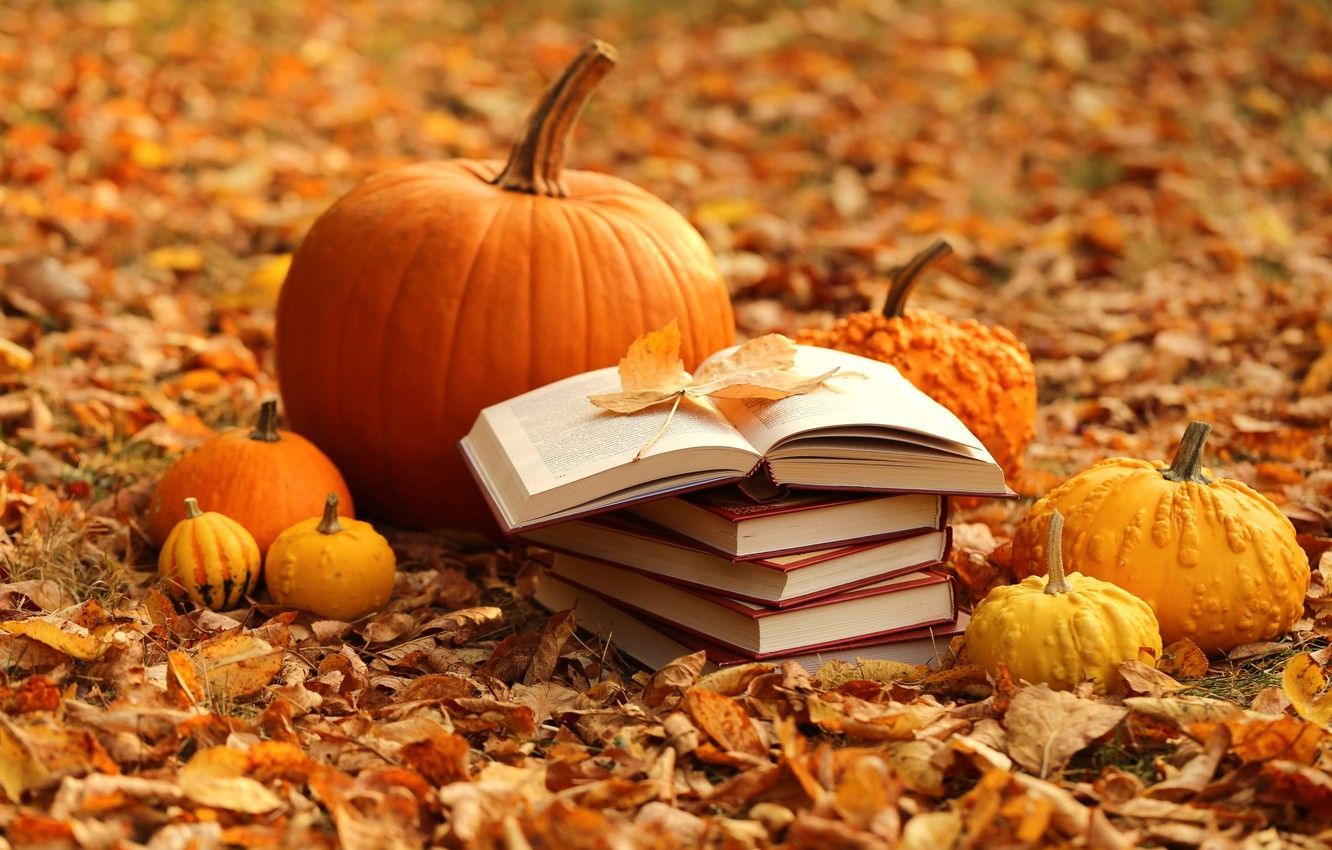 1332x850 Autumn Pumpkins Leaves Wallpaper