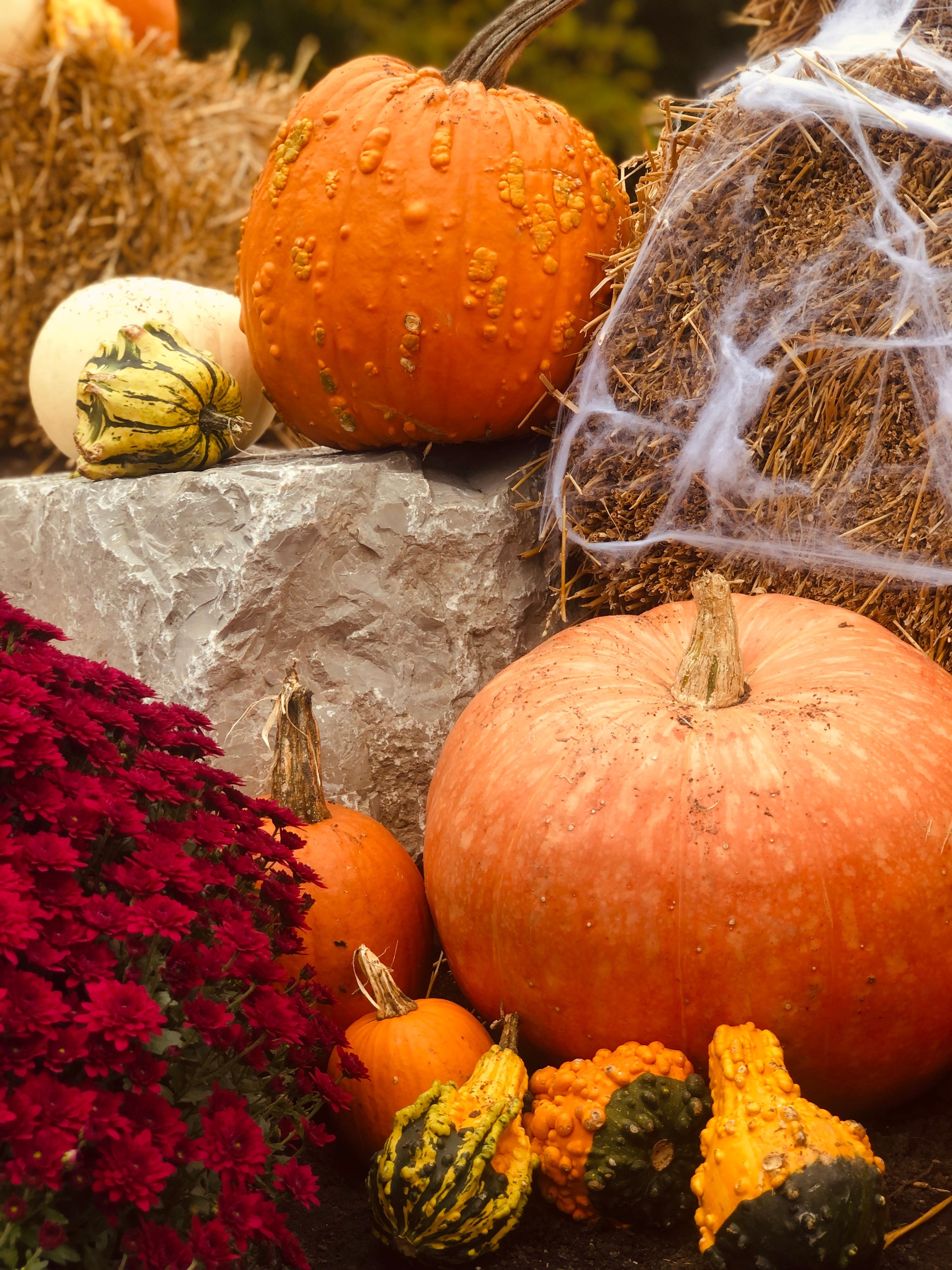 3024x4032 Autumn Leaves and Pumpkins in Basket · Free