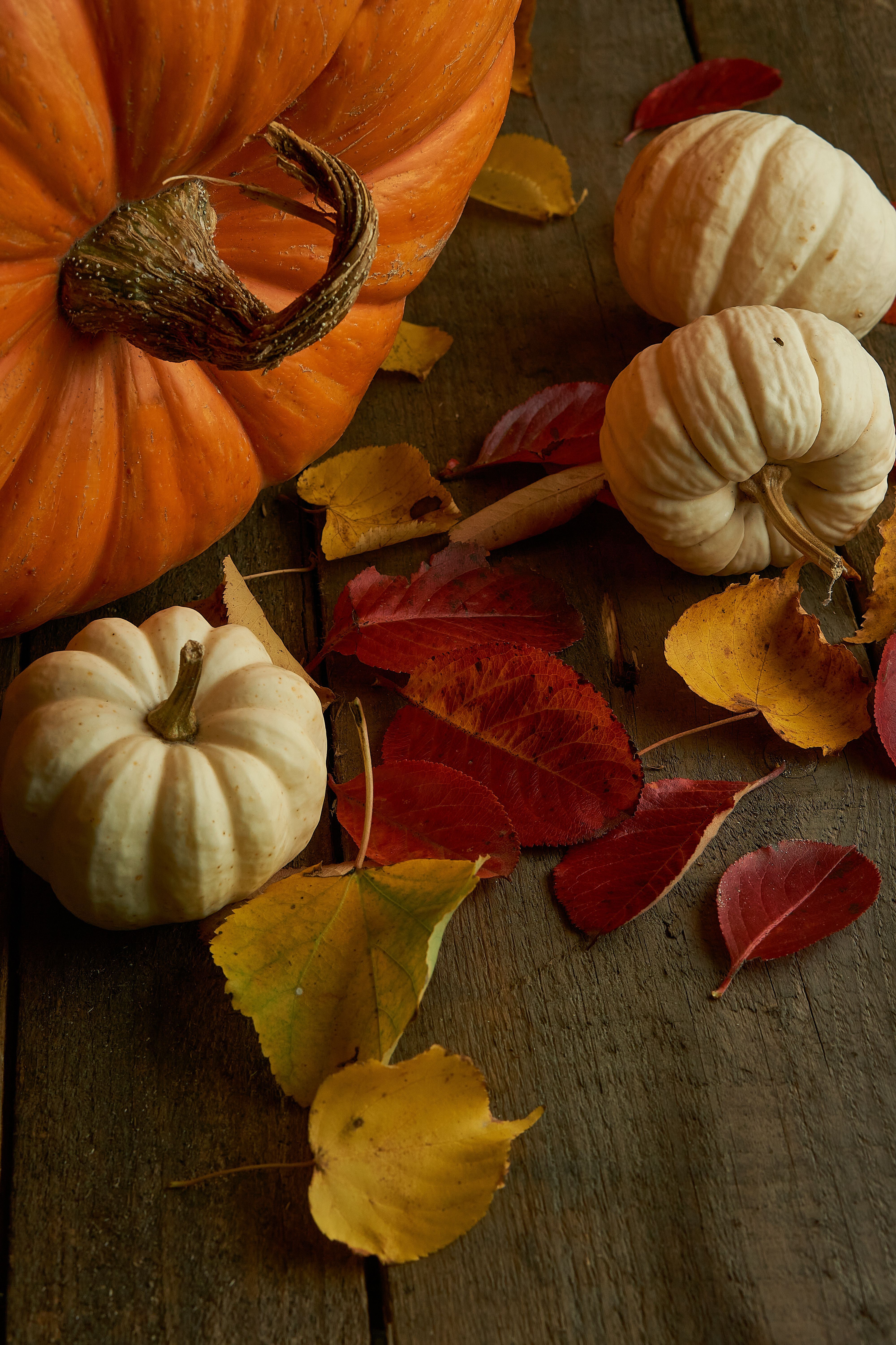 4000x6000 Pumpkins and Autumn Leaves · Free