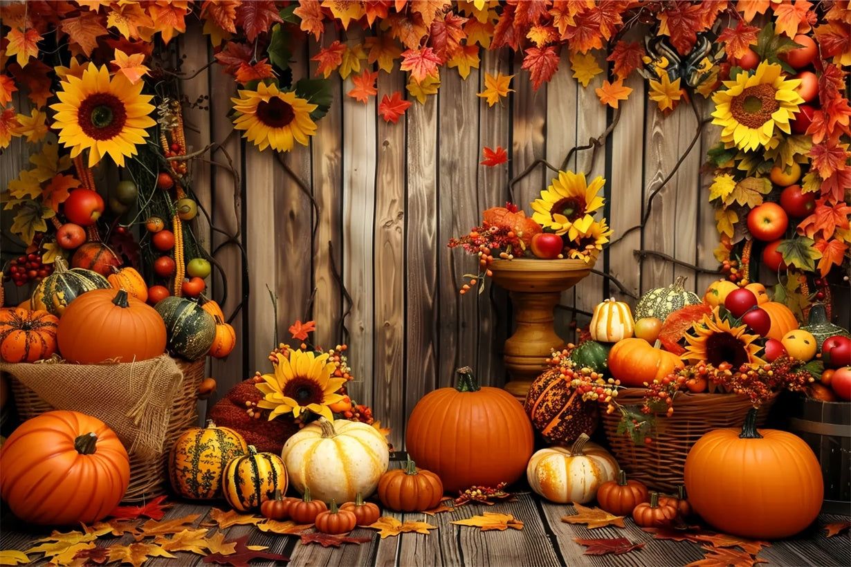 1230x820 Charming Autumn Sunflowers And Pumpkins Backdrop BRP7 214