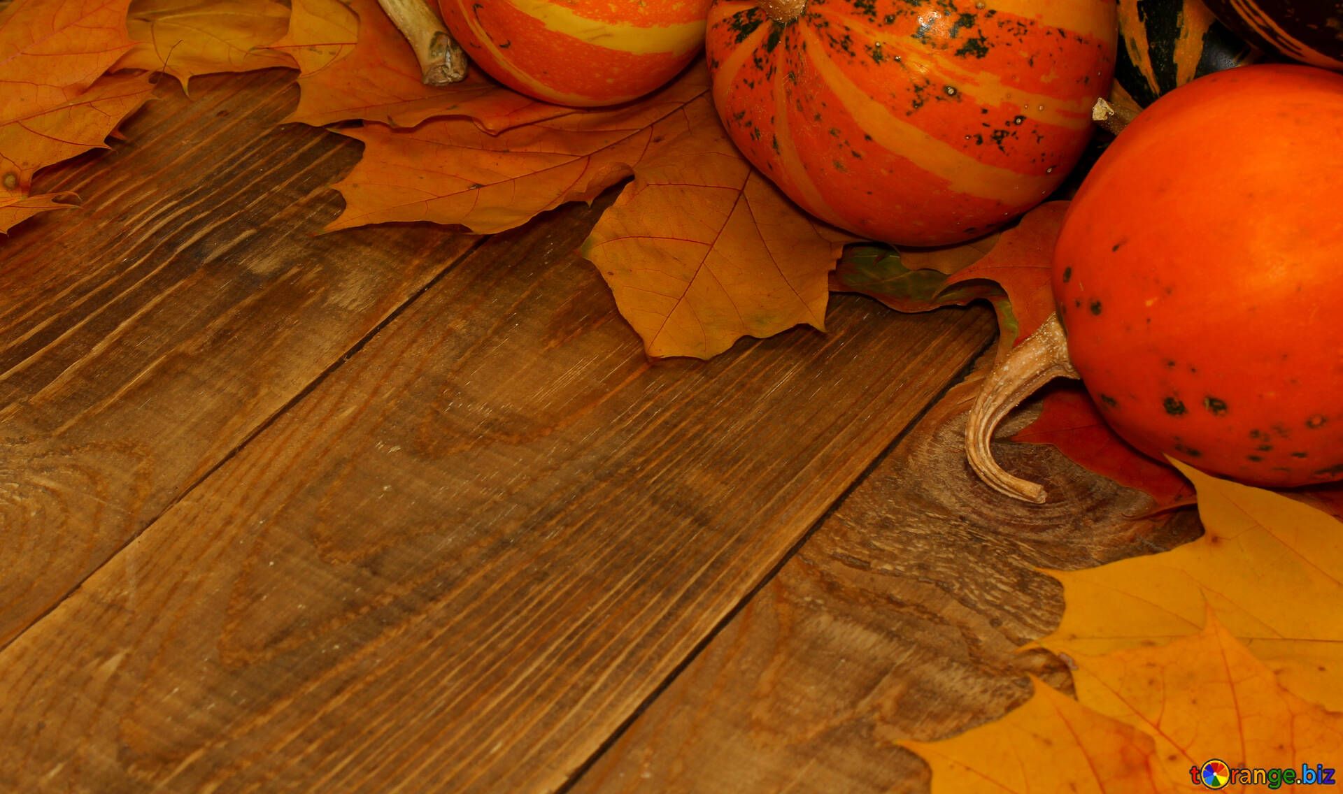1920x1136 Autumn pumpkin wood background free image - № 35223