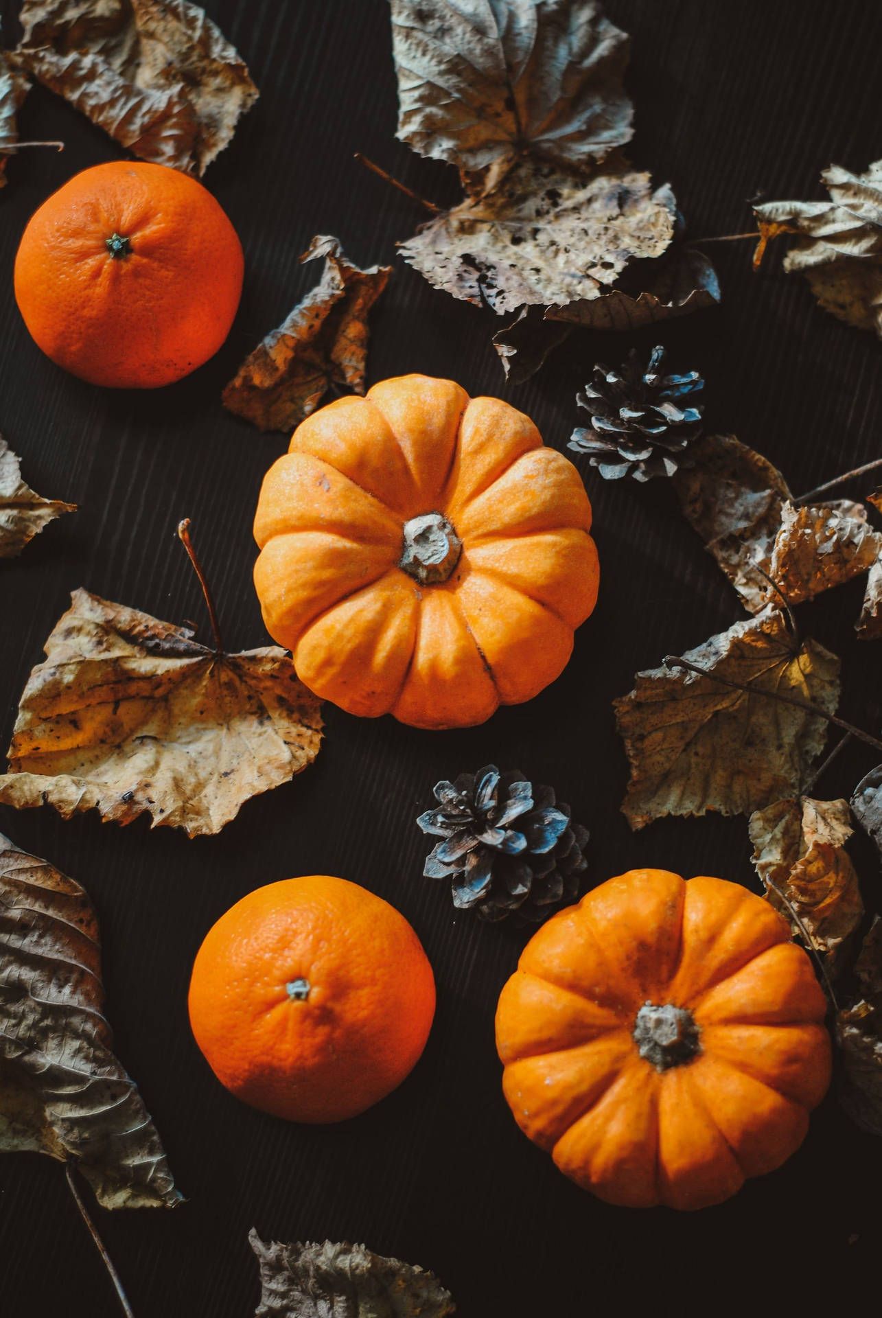 1285x1920 Autumn Leaves Pumpkins Wallpaper
