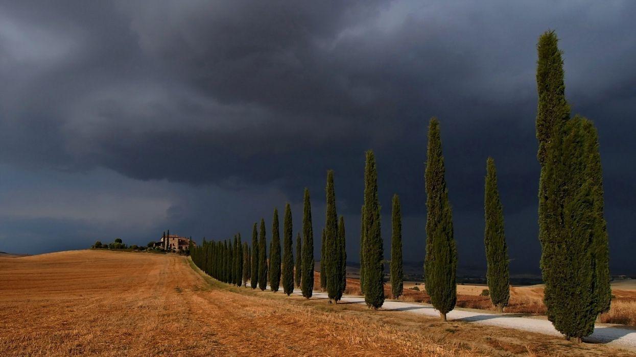 1245x700 Storm Val d&;orcia trees road sky landscape nature fields clouds countryside rain wallpaperx2160