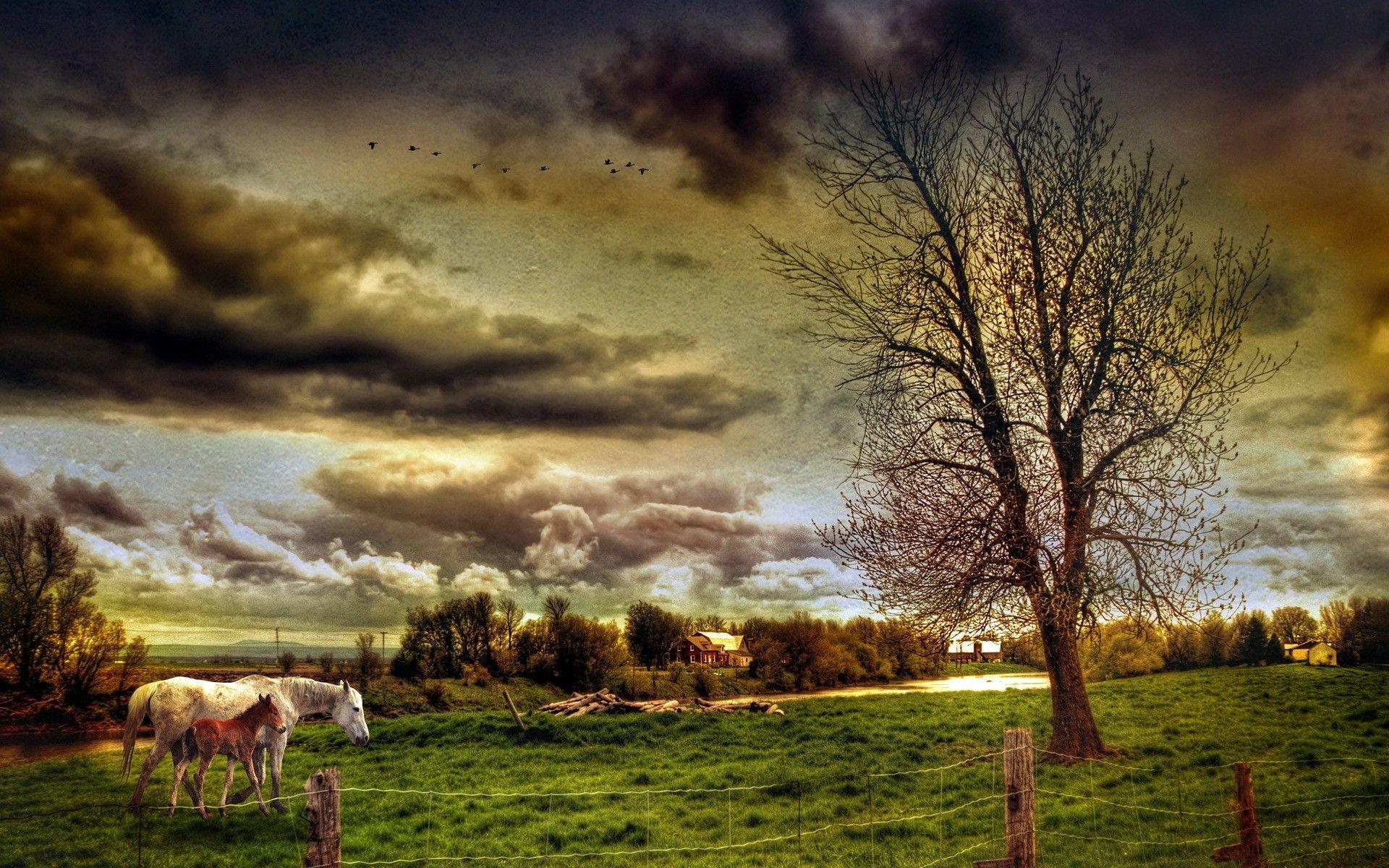 1920x1200 HDR Countryside Landscape