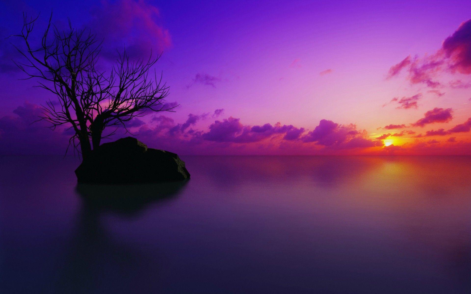 1920x1200 Best Desktop Wallpaper HD Free Download Wallpaperxyz.com 13 Best Wallpaper Full HD Free Download