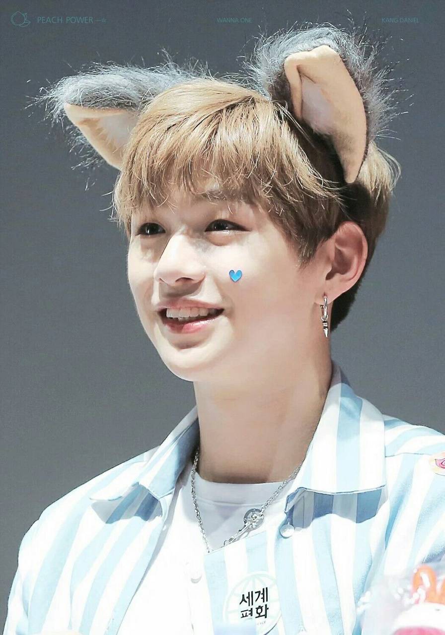 896x1280 Wanna One Daniel wallpaper