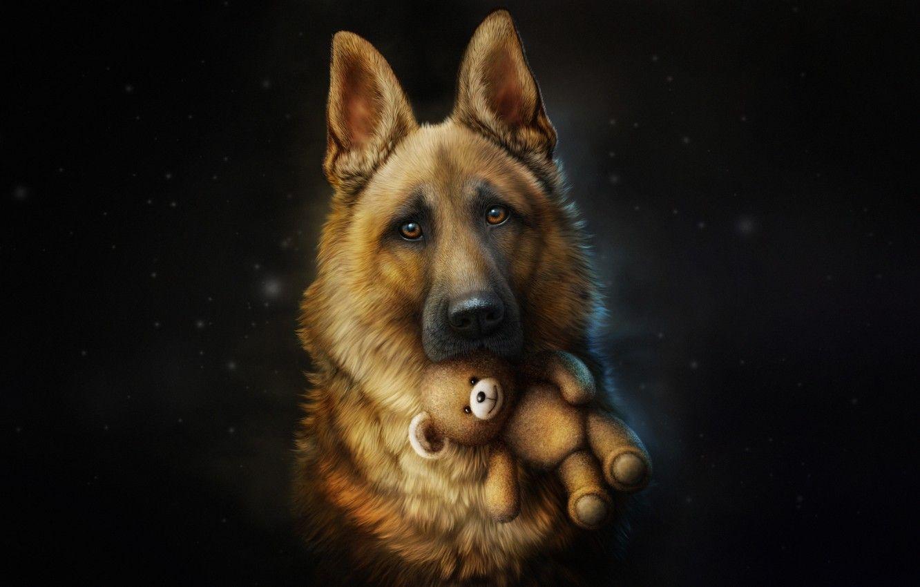 1332x850 Wallpaper Dog, Toy, Style, Shepherd, Dog, Fallout, Art, Art, Style, Illustration, Each, Animal, Animal, Toy, Friend, Illustration image for desktop, section арт