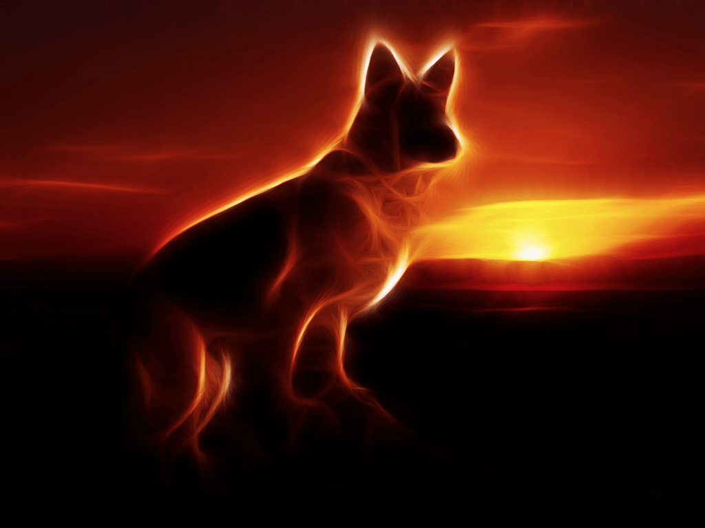 1024x768 Mean German Shepard Wallpaper. Shepard Wallpaper Text, Commander Shepard Wallpaper and Alex Shepard Silent Hill Wallpaper
