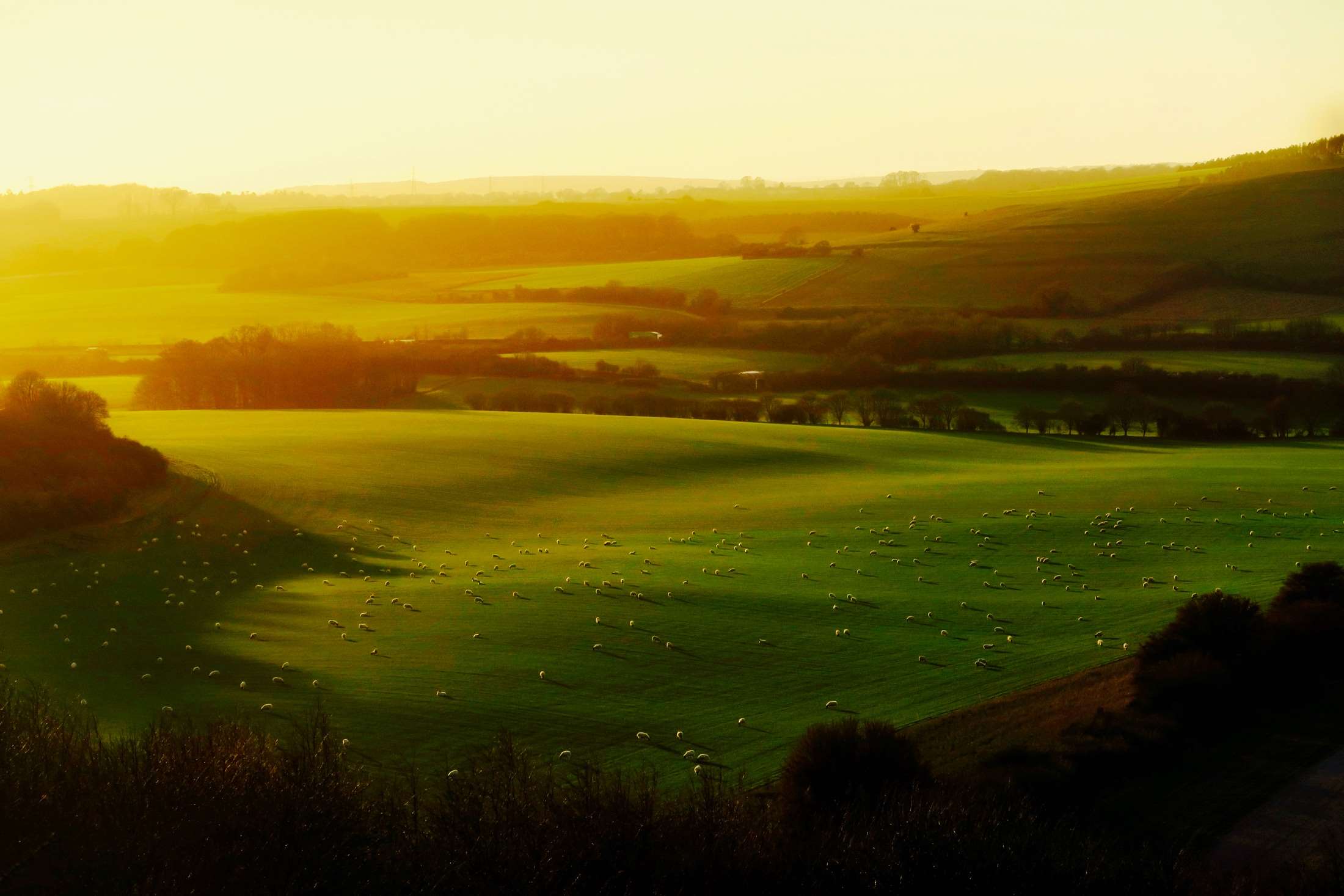 2200x1467 animals, beautiful, country, countryside, england, farm, forest, grazing, great britain, hdr, hills, landscape, livestock, meadow, nature, outdoors, rural, scenic, shadows, sheep, sunrise, sunset, valley, woods wallpaper. Mocah.org HD Wallpaper