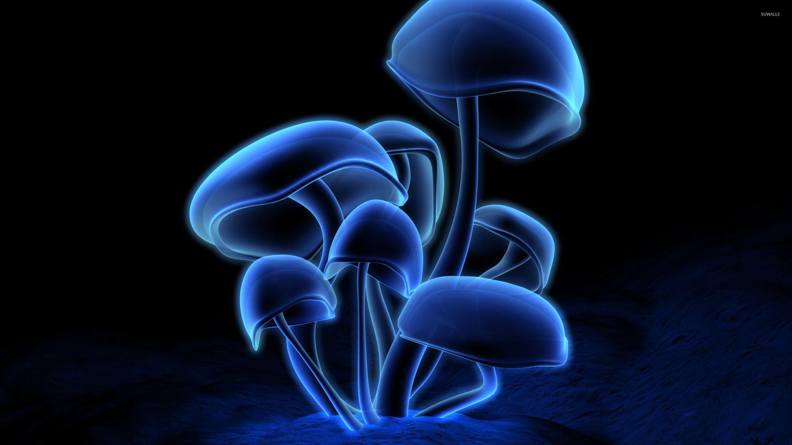 Blue Mushroom Wallpapers - Top Free ...