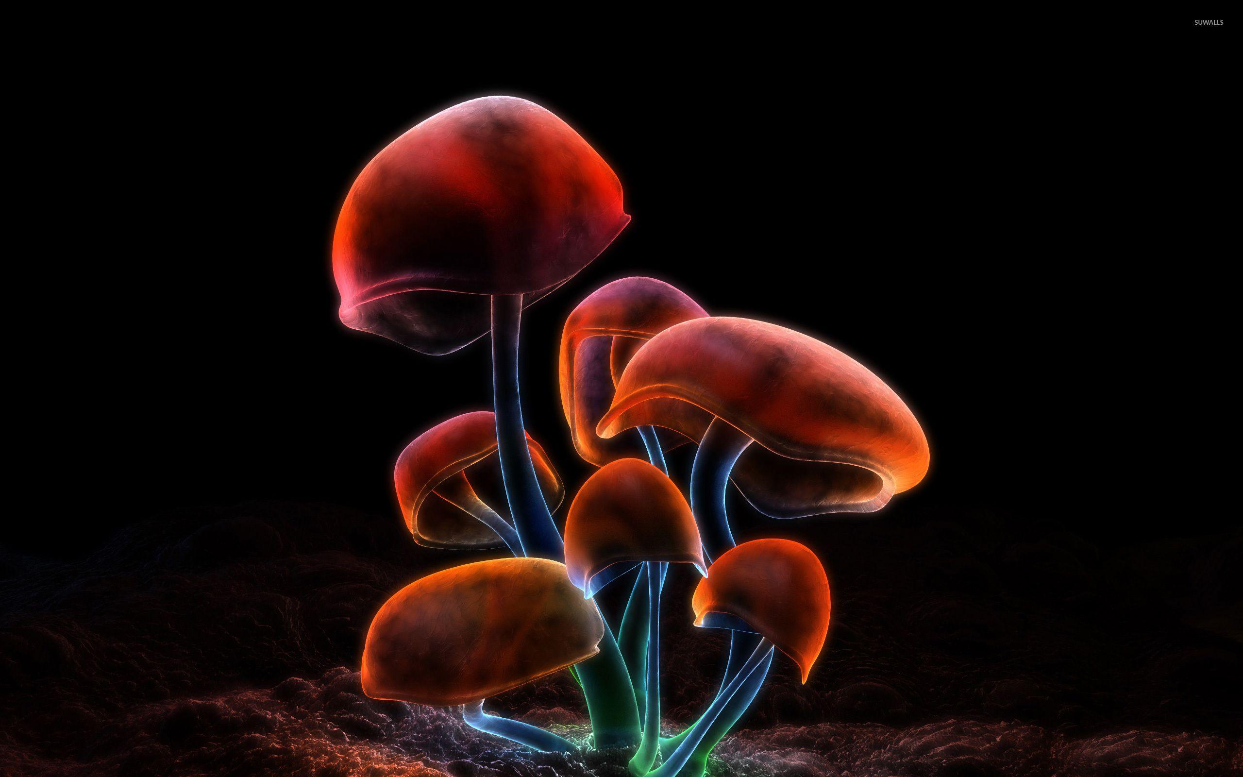 Mushrooms Wallpapers - Top Free Mushrooms Backgrounds - WallpaperAccess