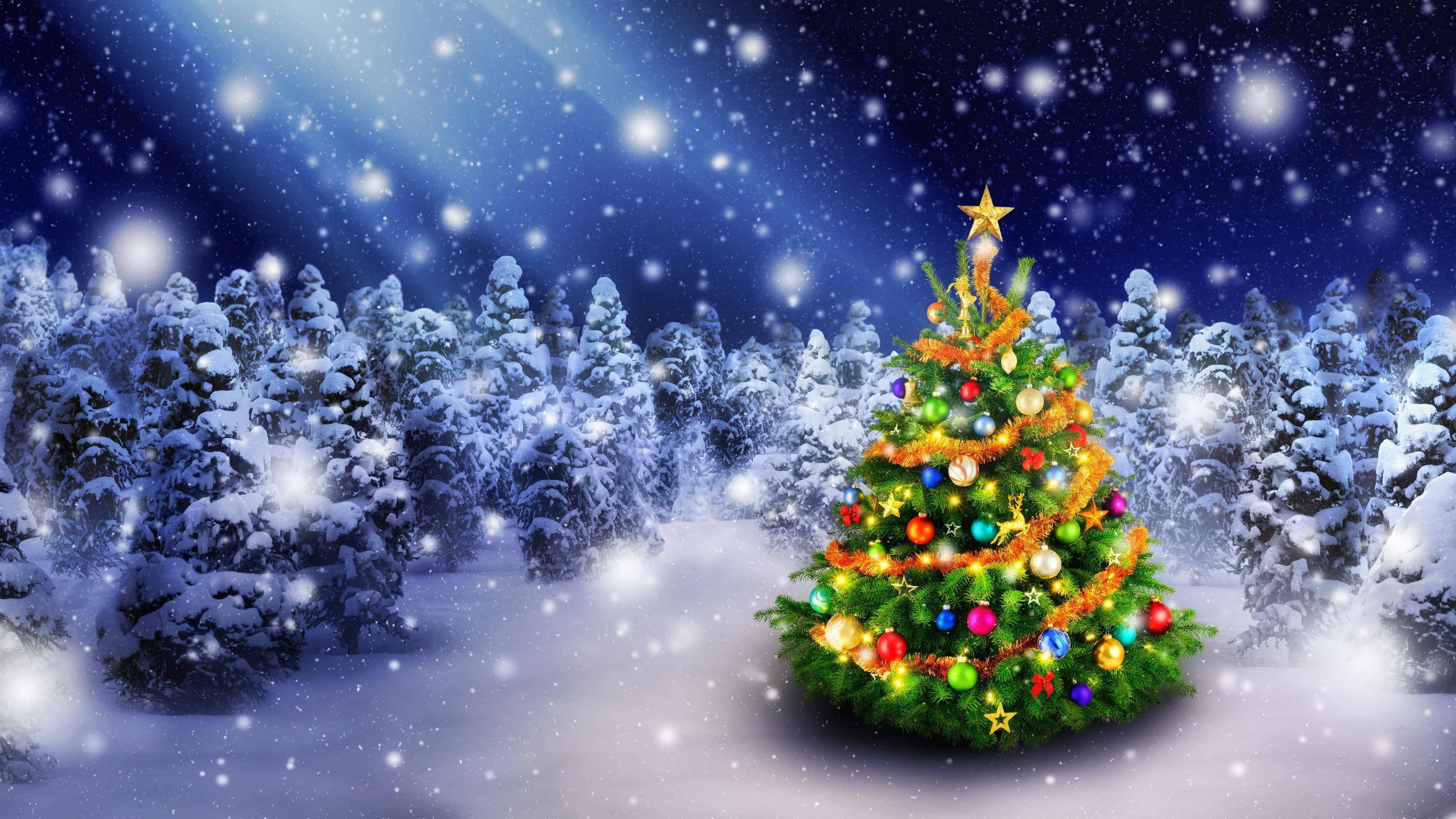 Christmas Trees Wallpapers Top Free Christmas Trees Backgrounds