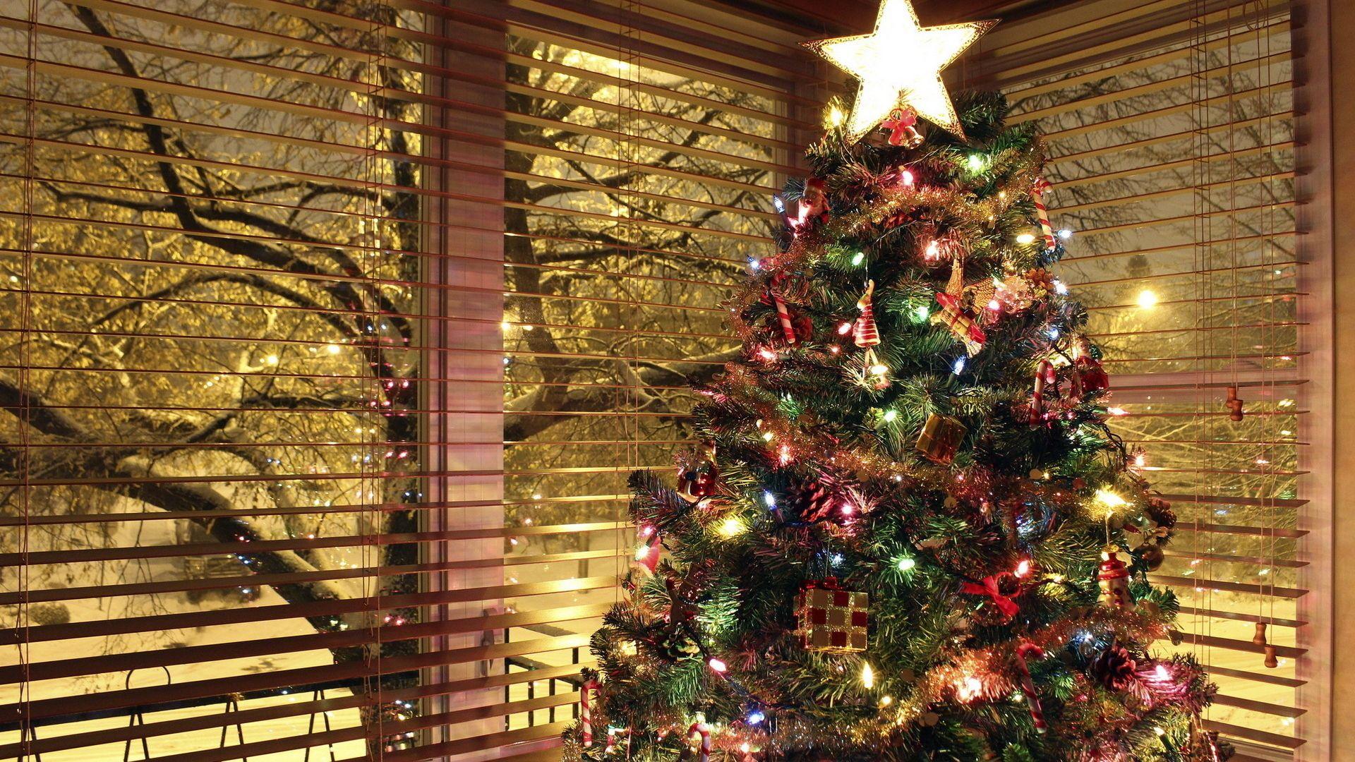 1920x1080 Beautiful Christmas tree Wallpaper
